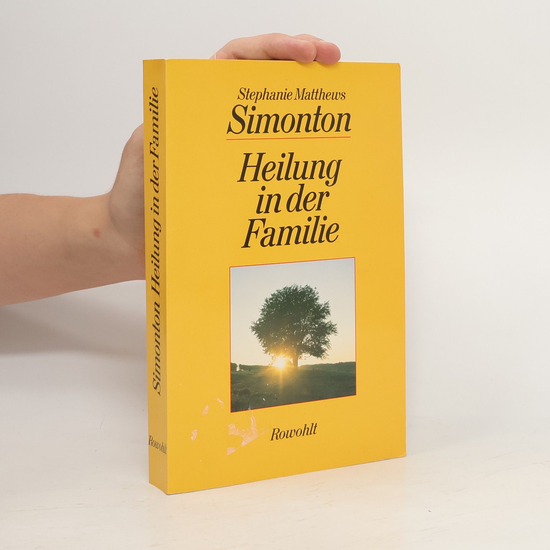 Stephanie Simonton Heilung in der Familie