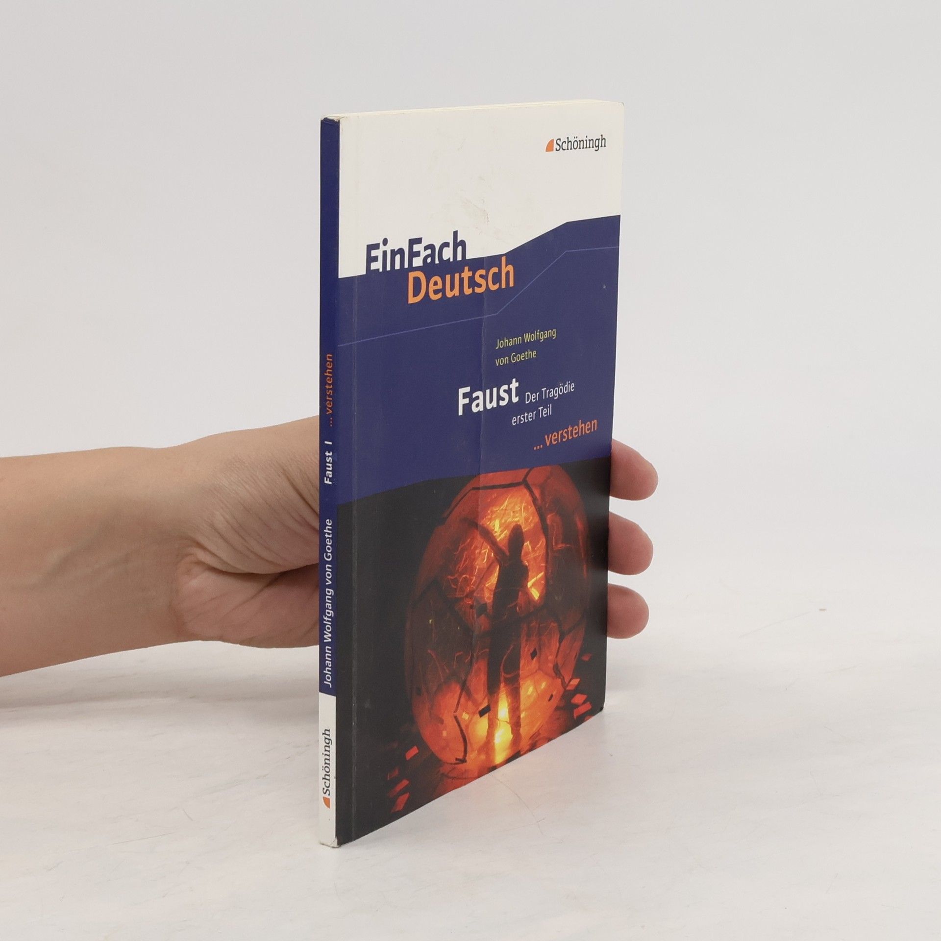 Johann Wolfgang von Goethe EinFach Deutsch. Faust I.