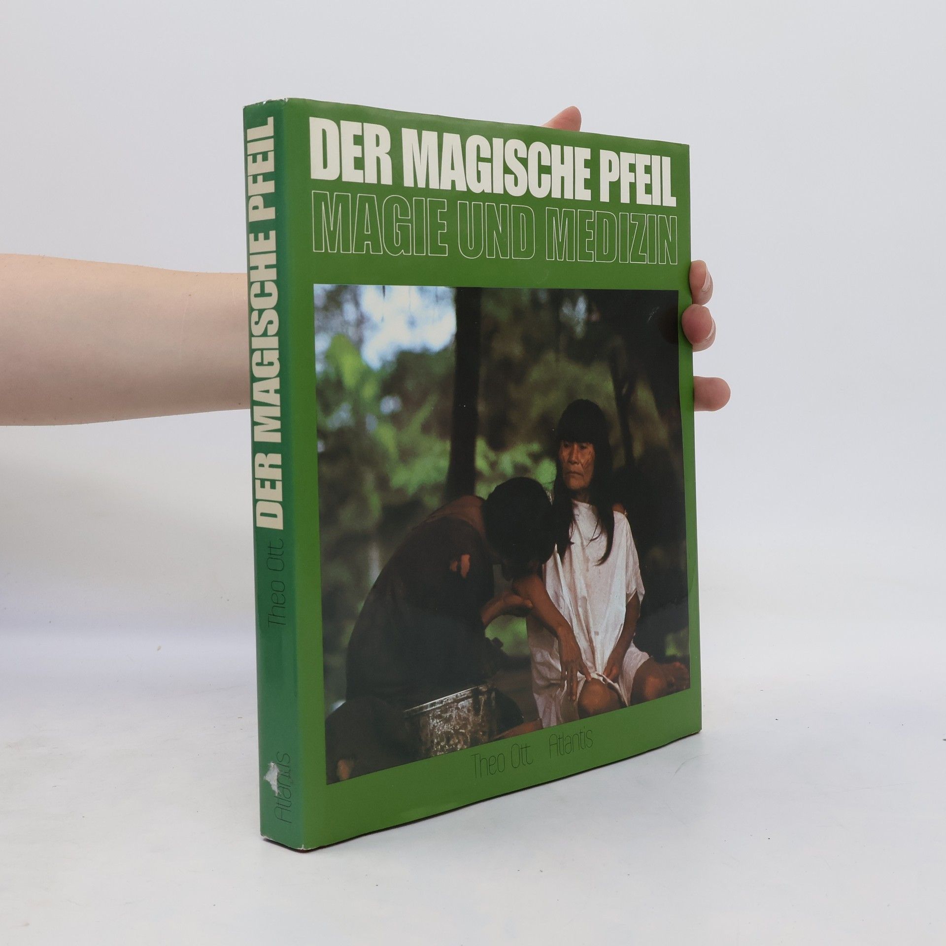 Theo Ott Der magische Pfeil