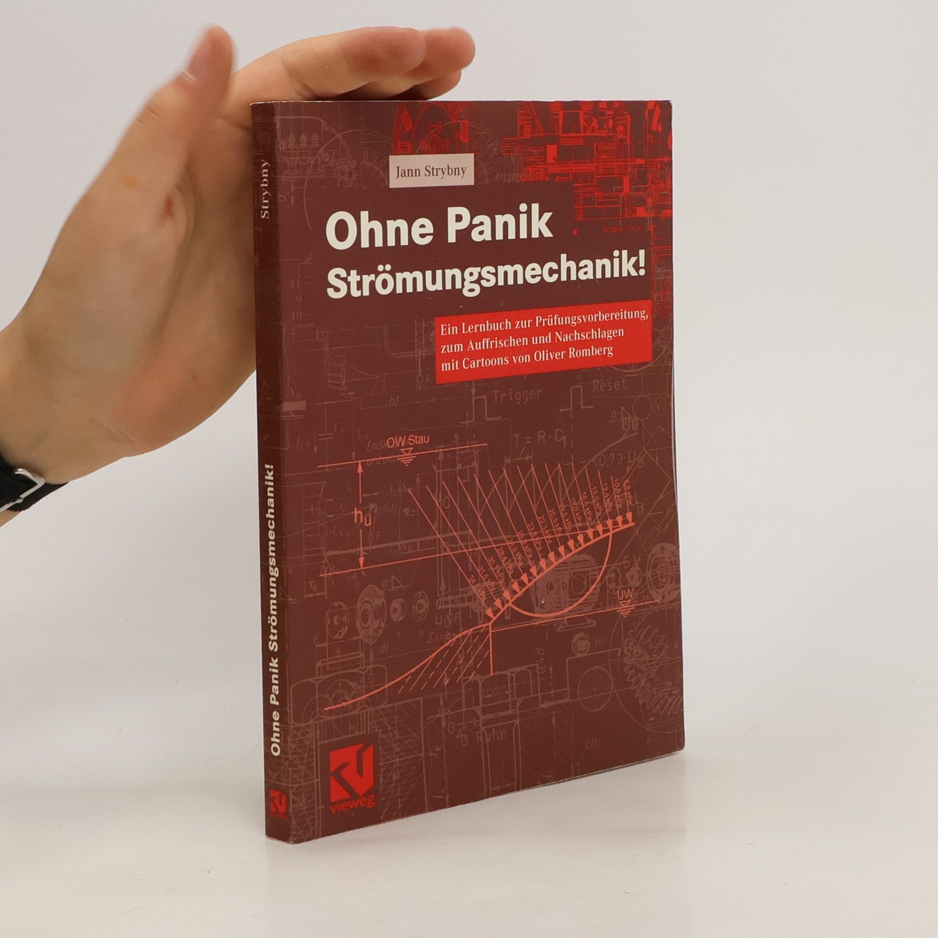 Jann Strybny Ohne Panik Strömungsmechanik!