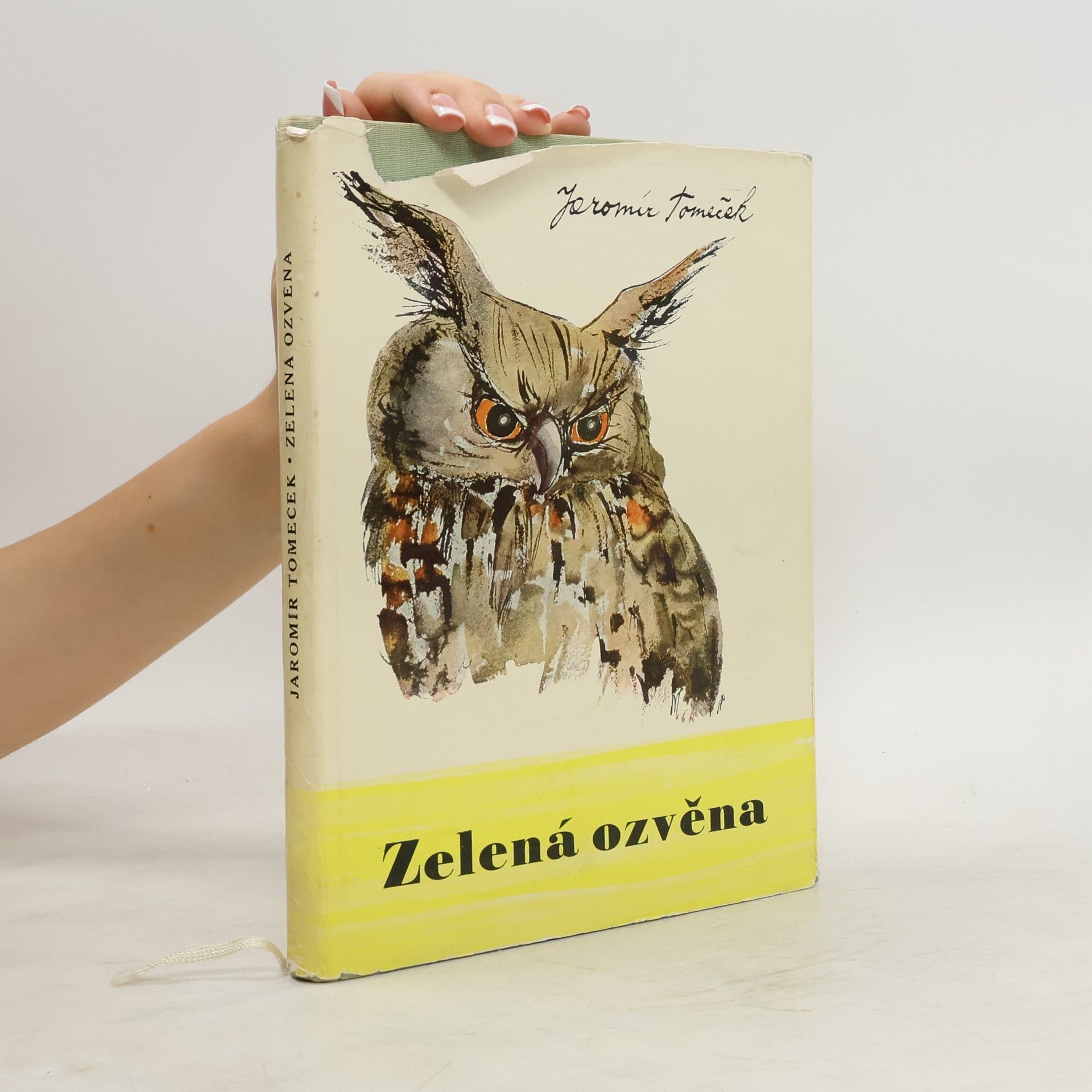 Jaromír Tomeček Zelená ozvěna