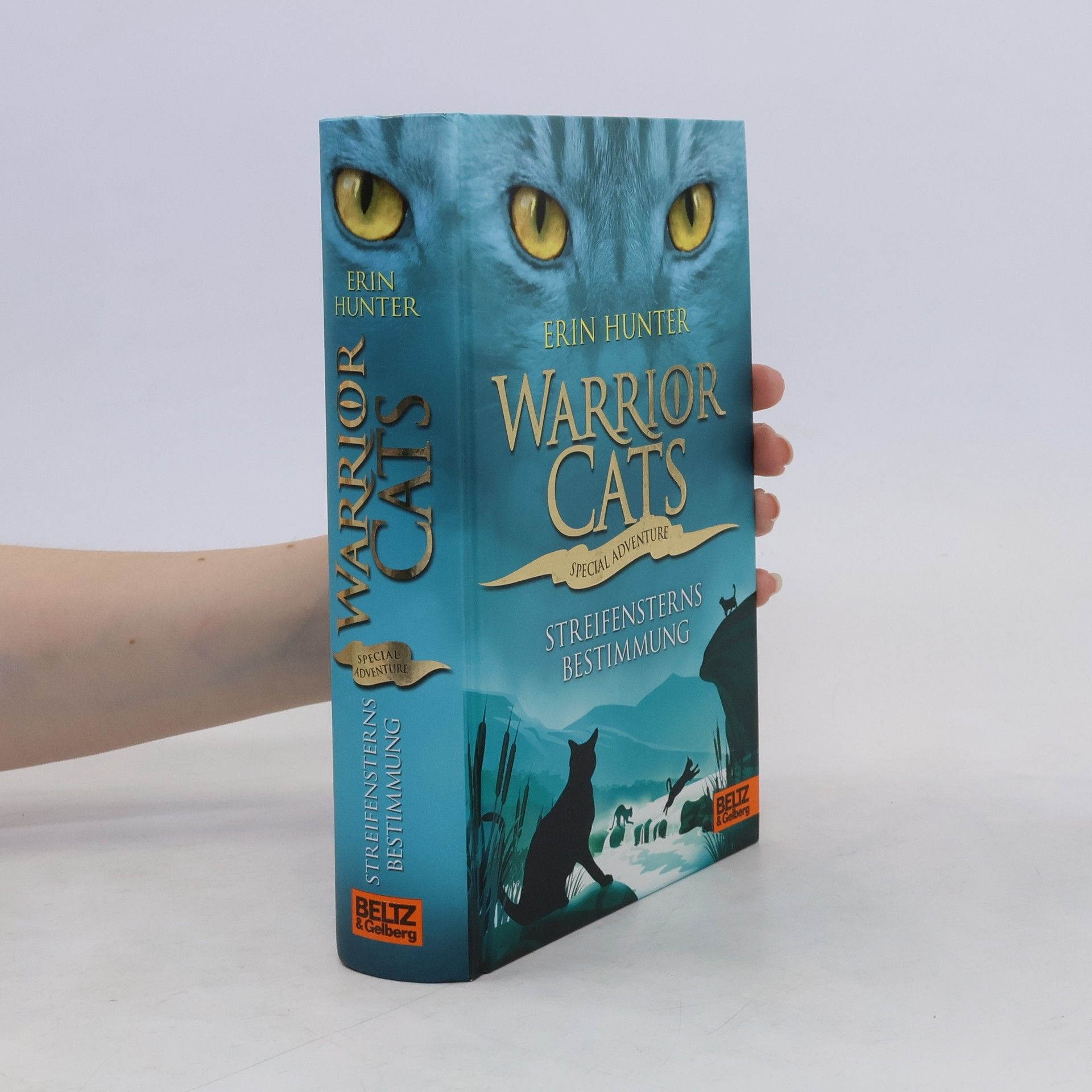 Erin Hunter Warrior cats - special adventure