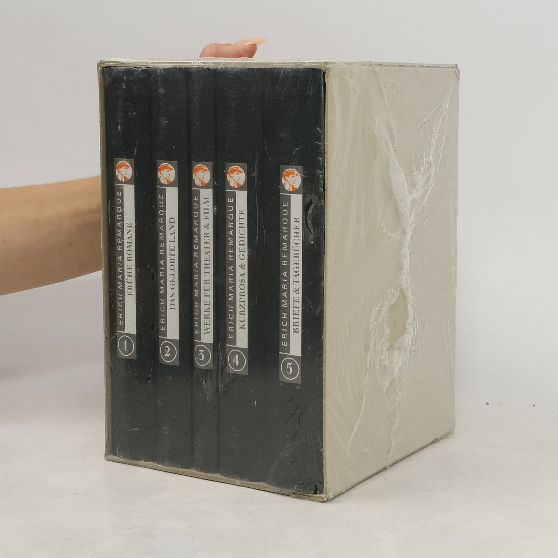 Erich Maria Remarque Das Unbekannte Werk 1-5