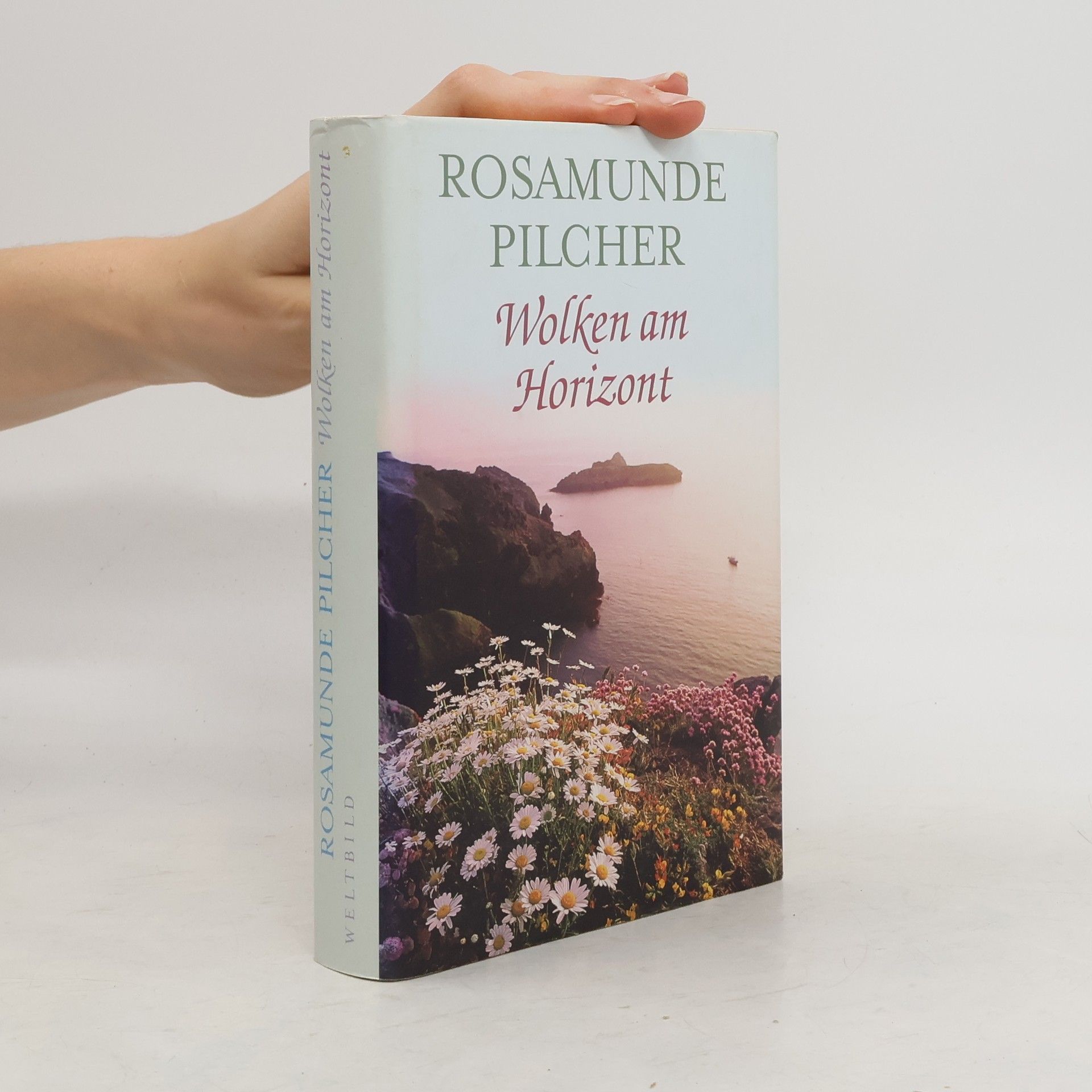 Rosamunde Pilcher Wolken am Horizont