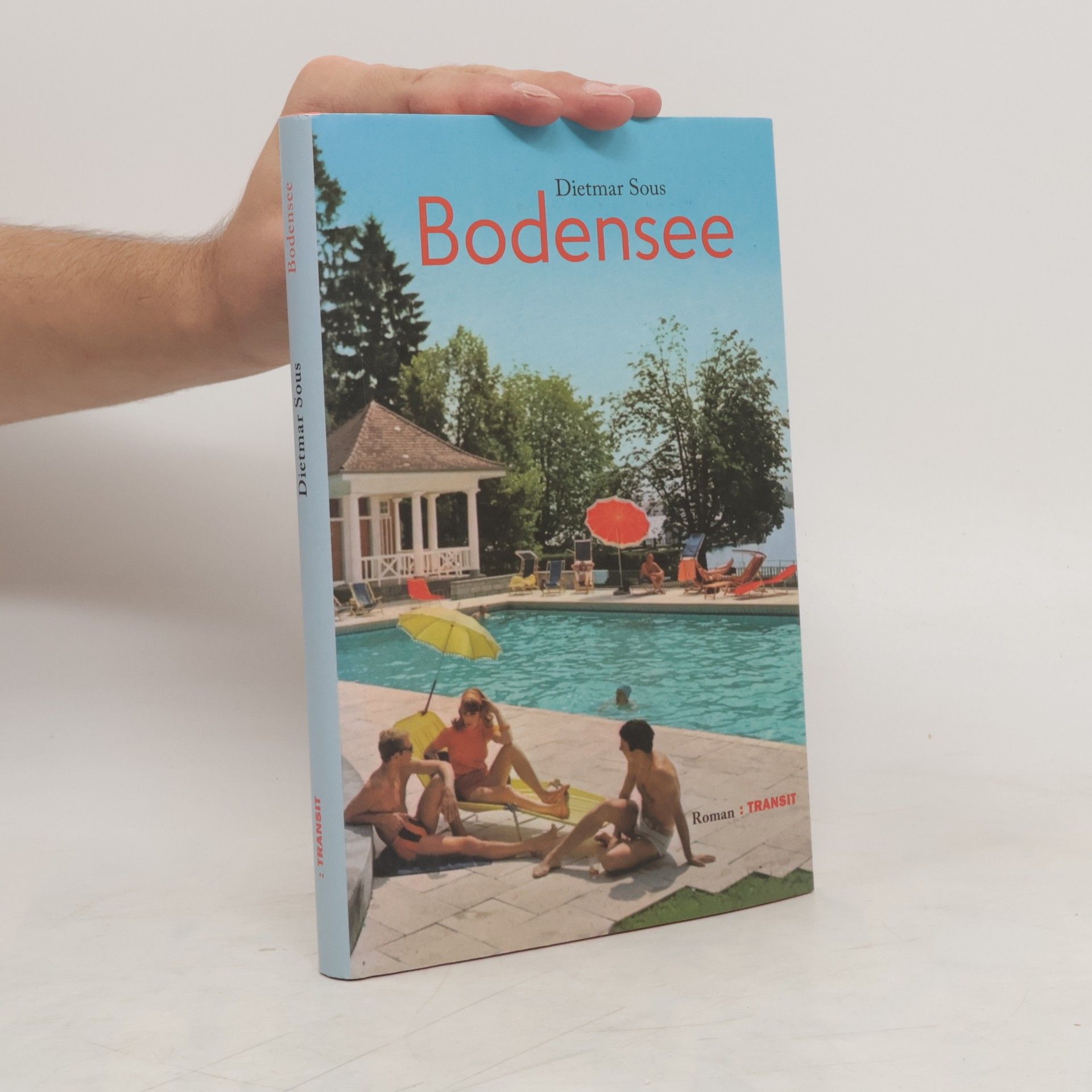 Dietmar Sous Bodensee