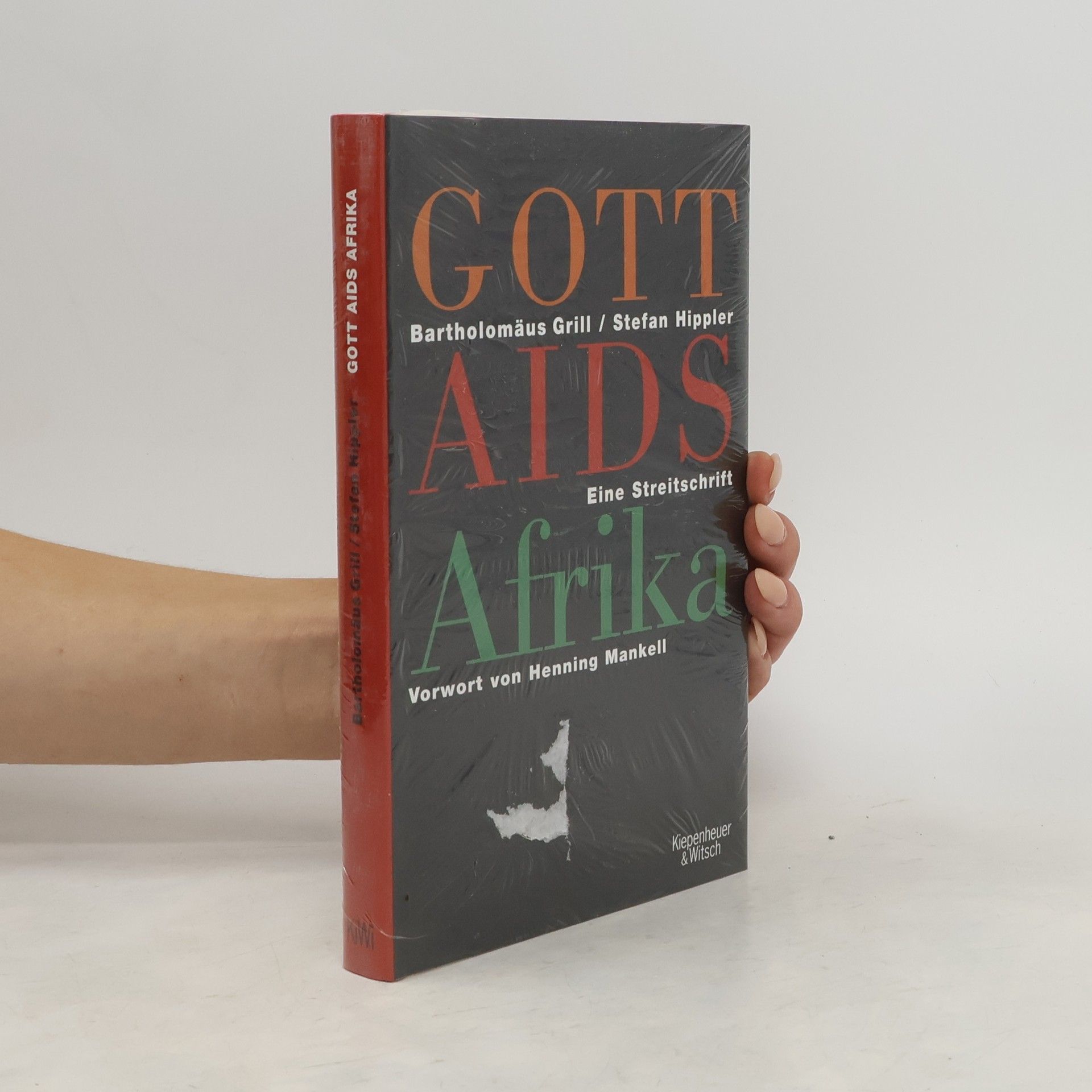 Bartholomäus Grill Gott, AIDS, Afrika