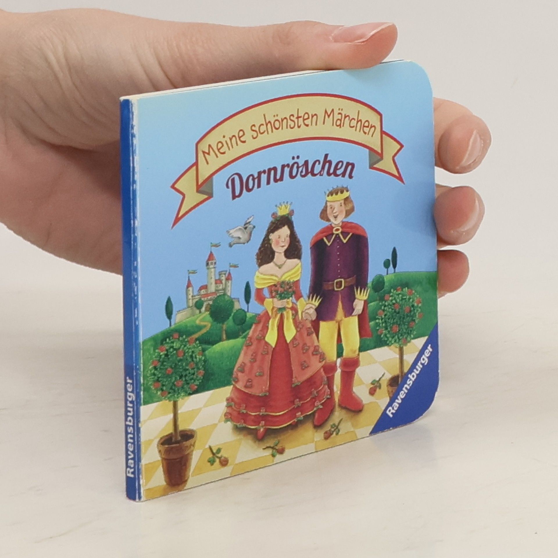 AA.VV. Meine schönsten Märchen. Dornröschen