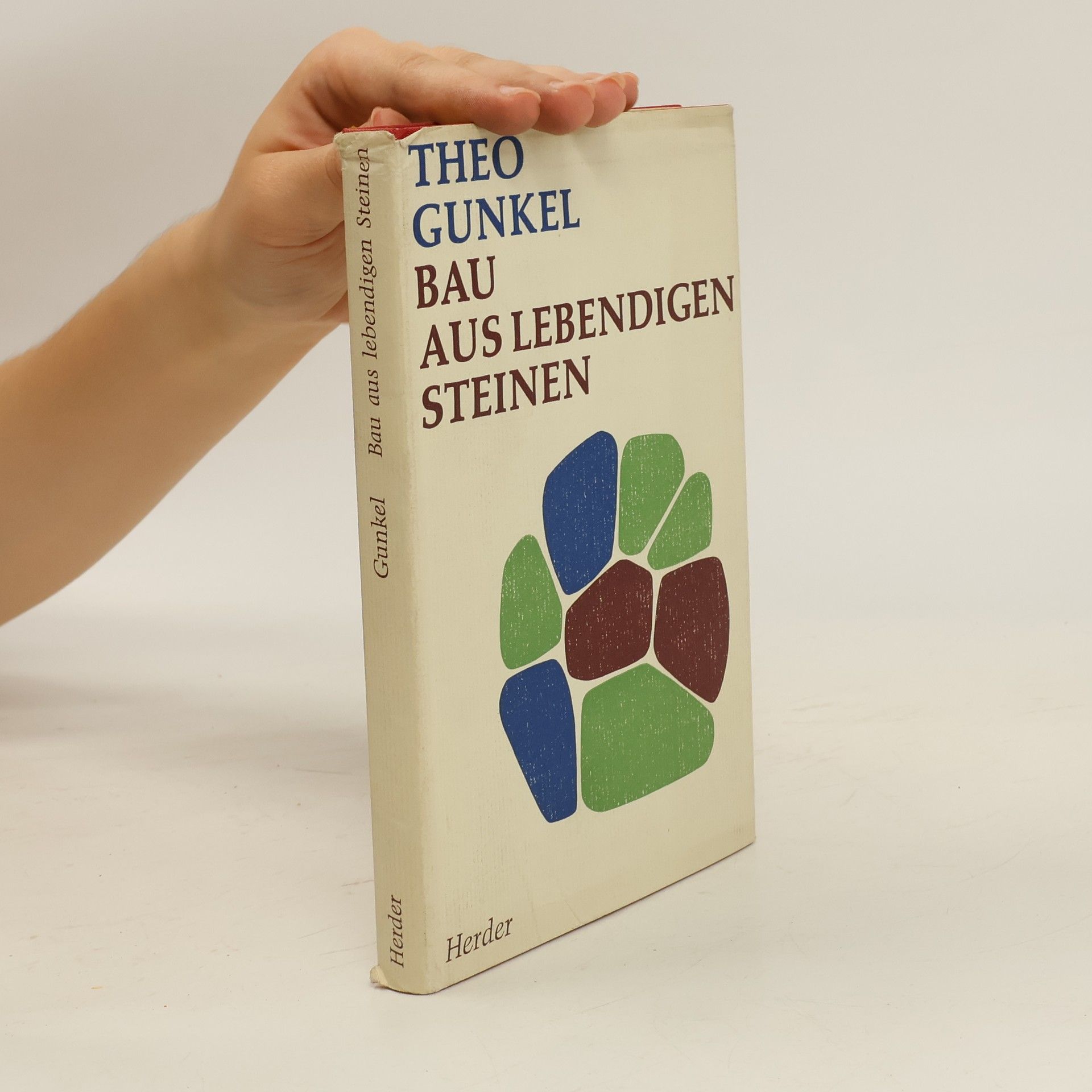 Alice Scherer Bau aus lebendigen Steinen