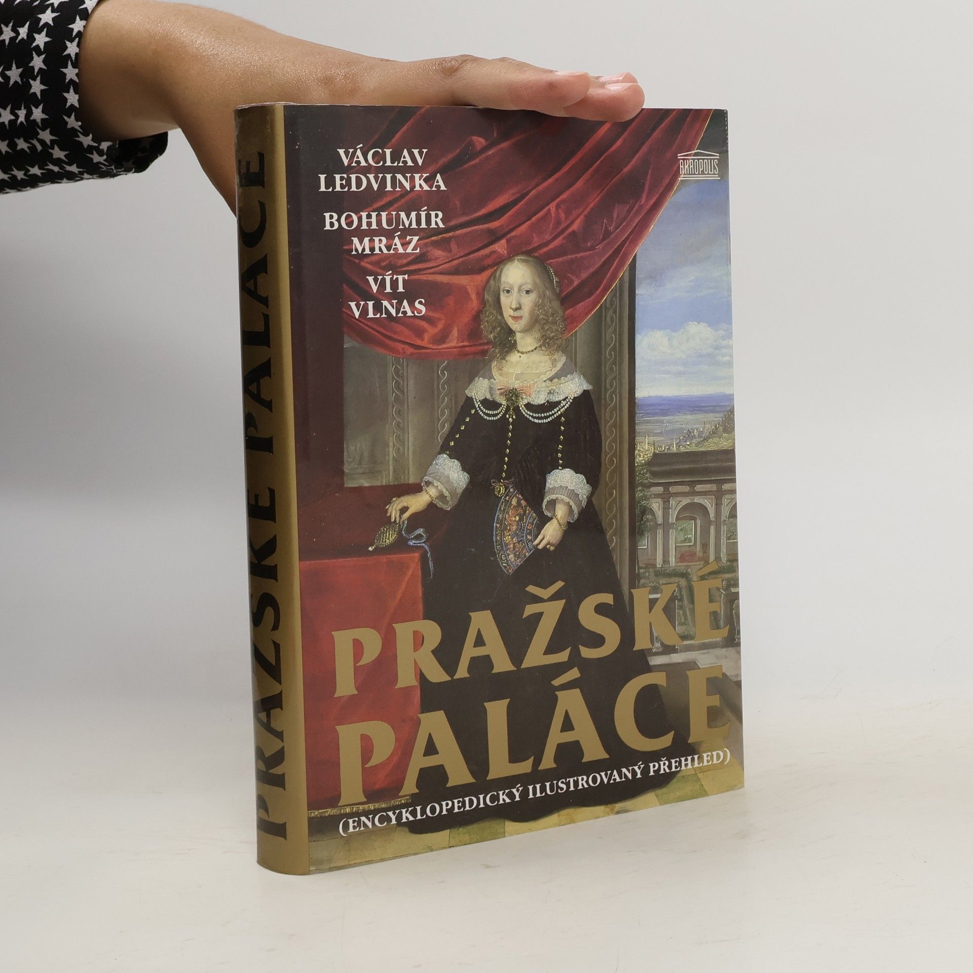 Václav Ledvinka Pražské paláce