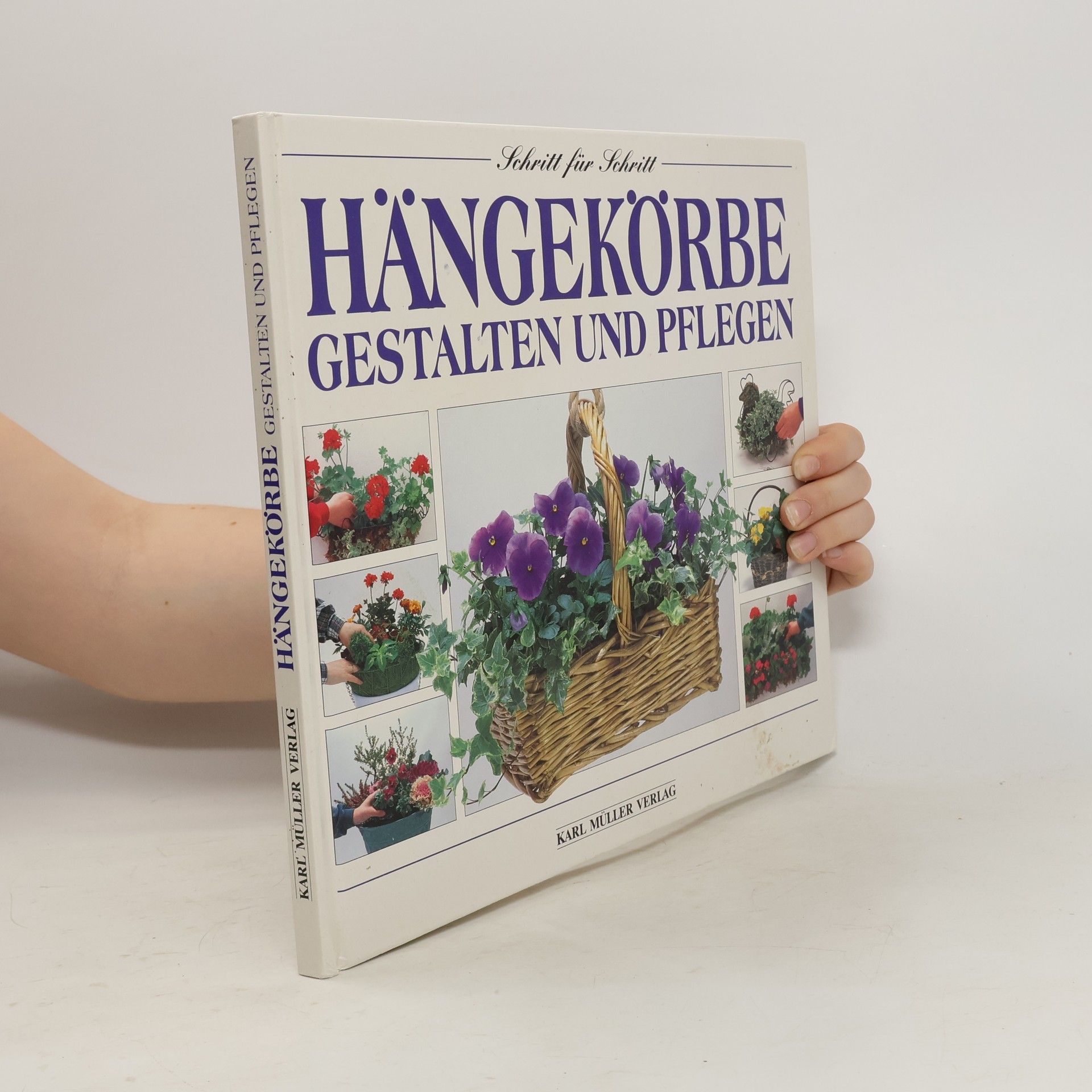 Collectif d'auteurs Hängekörbe gestalten und pflegen