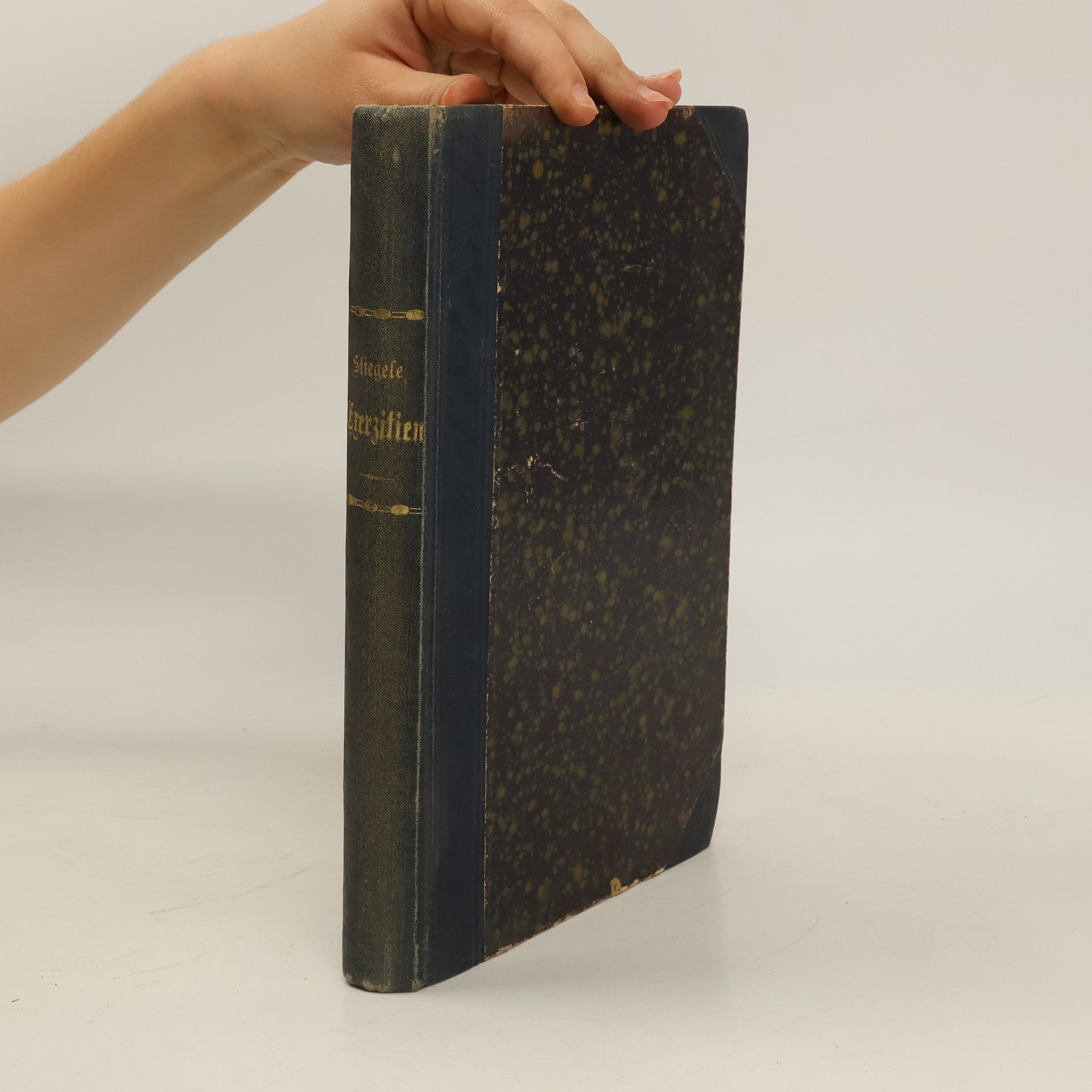 Paul Stiegele Gedenkblätter aus dem Leben und schriftlichen Nachlasse
