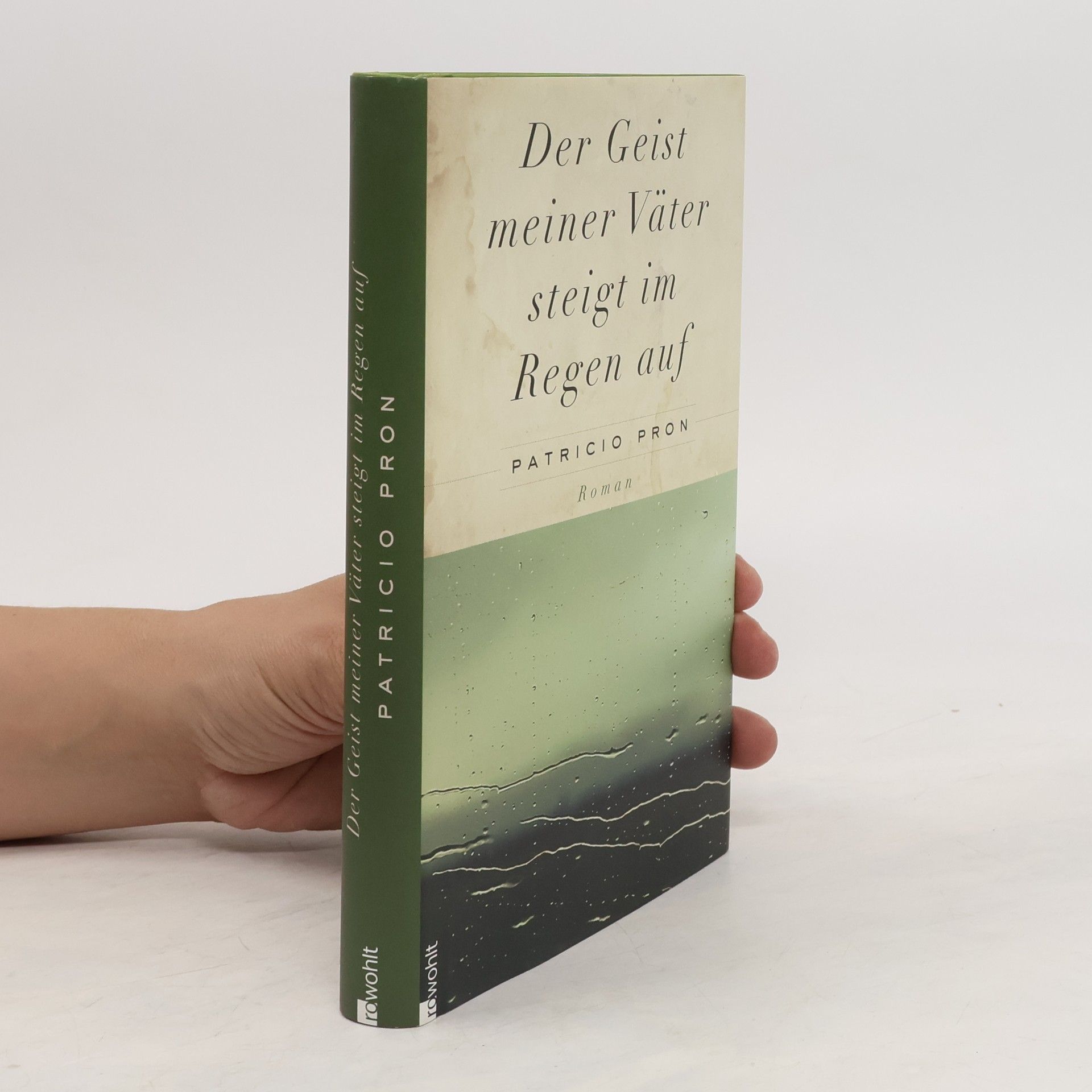 Patricio Pron Der Geist meiner Väter steigt im Regen auf