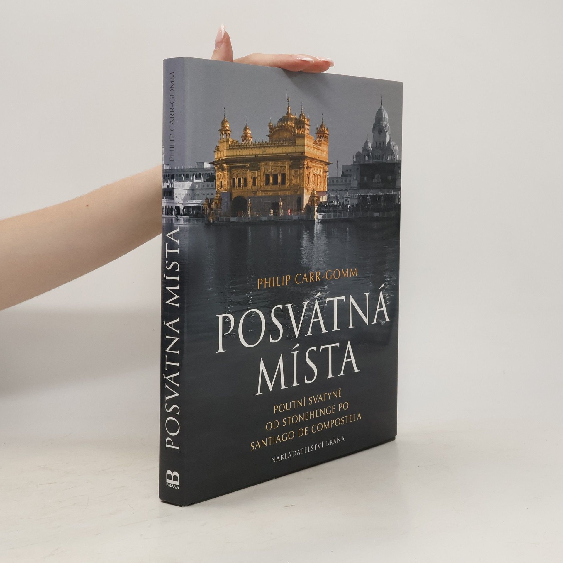 Philip Carr-Gomm Posvátná místa. Poutní svatyně od Stonehenge po Santiago de Compostela