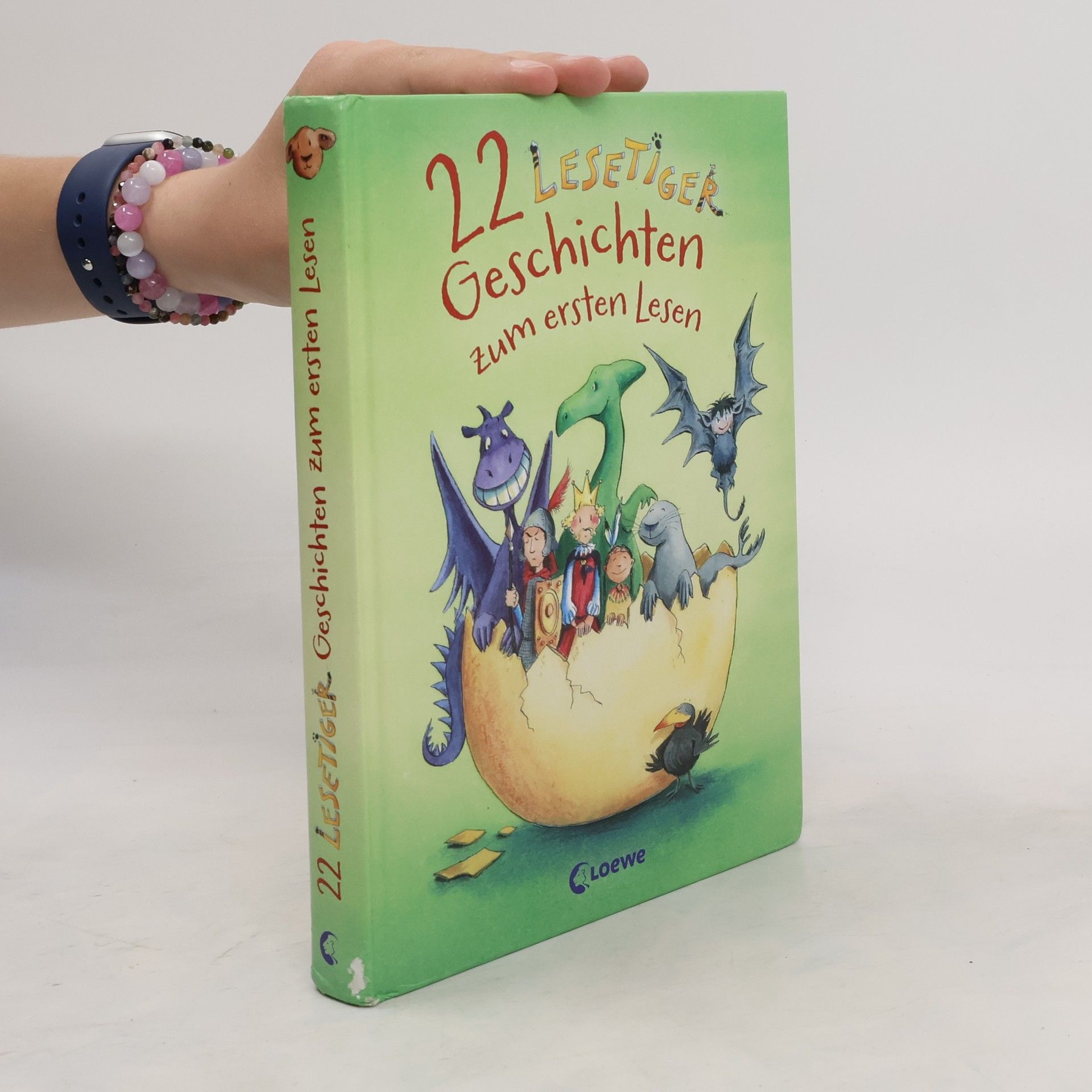 Collectif d'auteurs 22 Lesetiger-Geschichten zum ersten Lesen