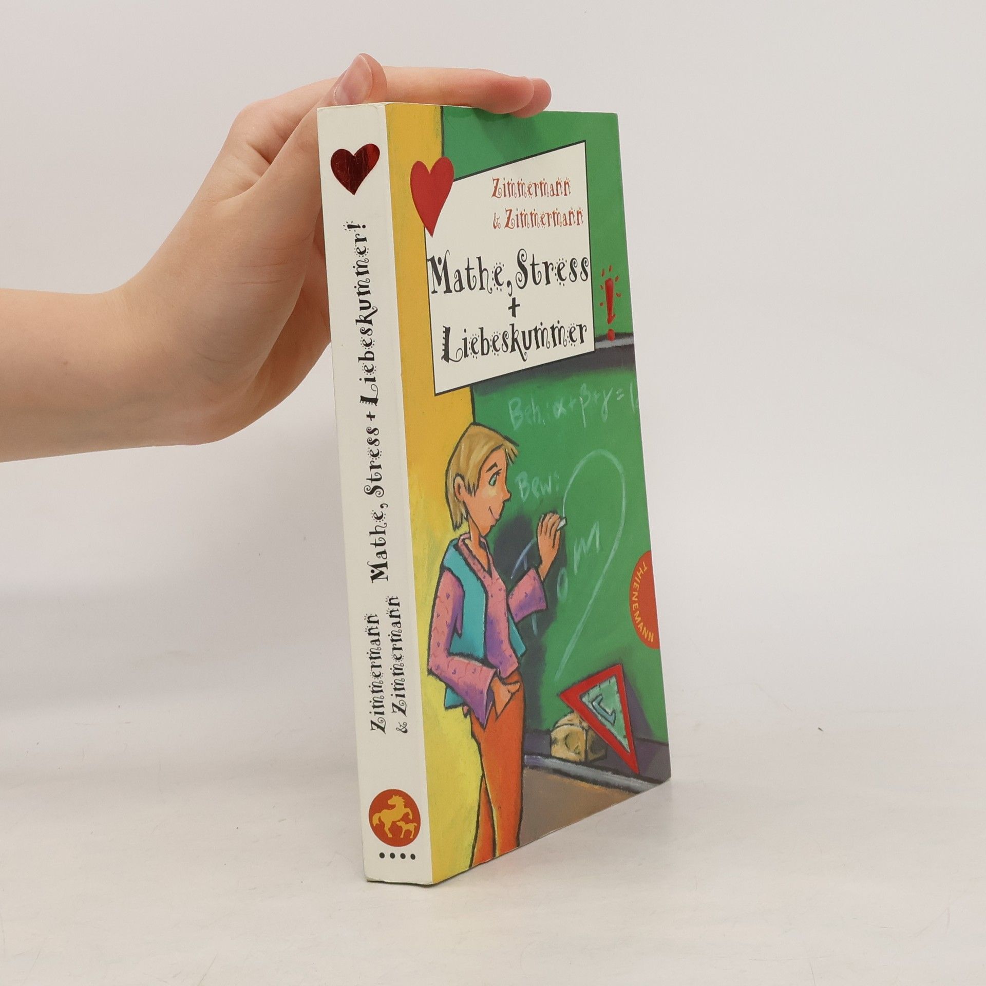 Irene Zimmermann Mathe, Stress + Liebeskummer!