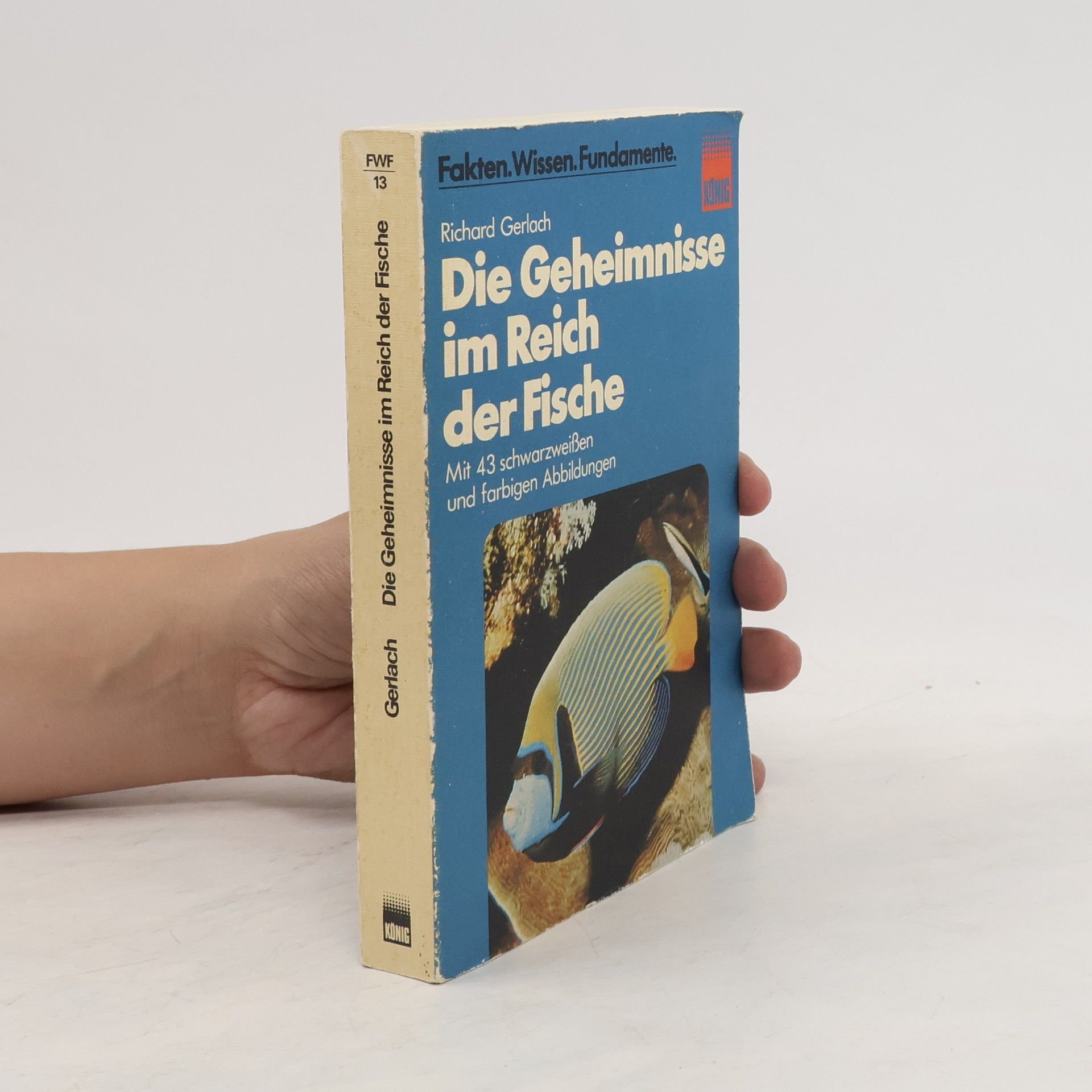 Richard Gerlach Die Geheimnisse im Reich der Fische