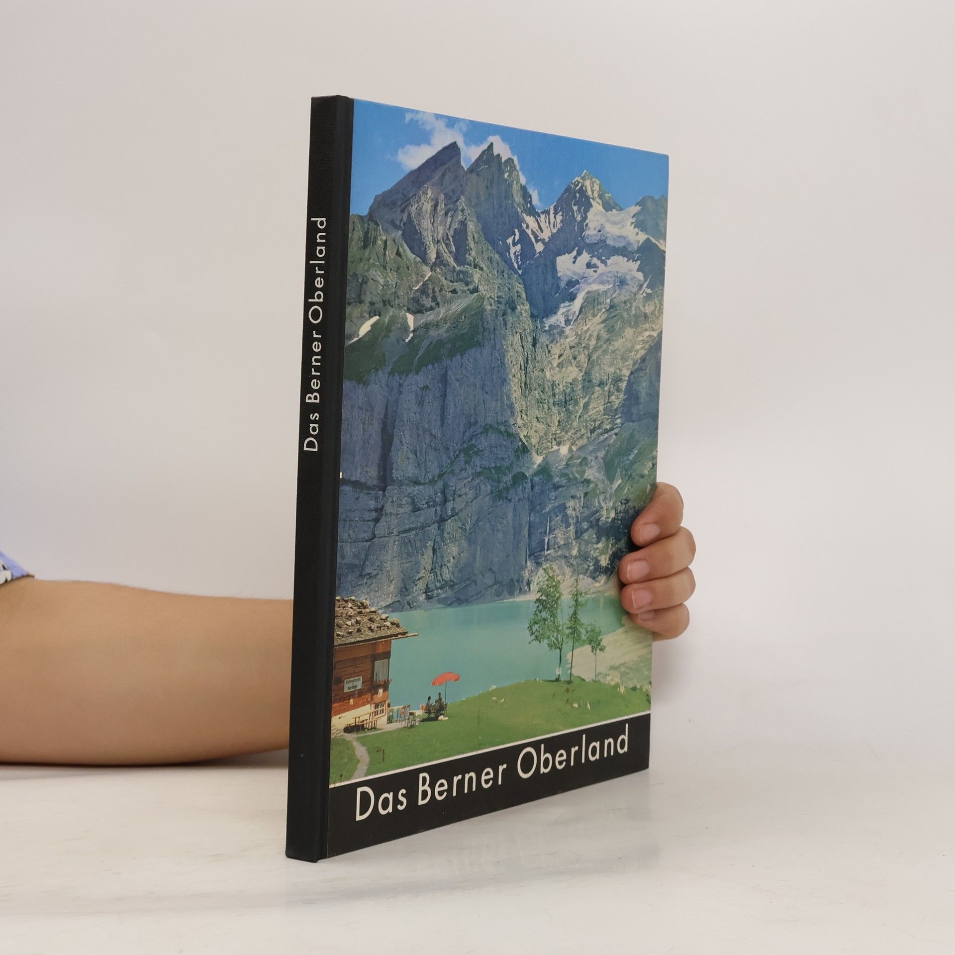 Otto Siegner Das Berner Oberland