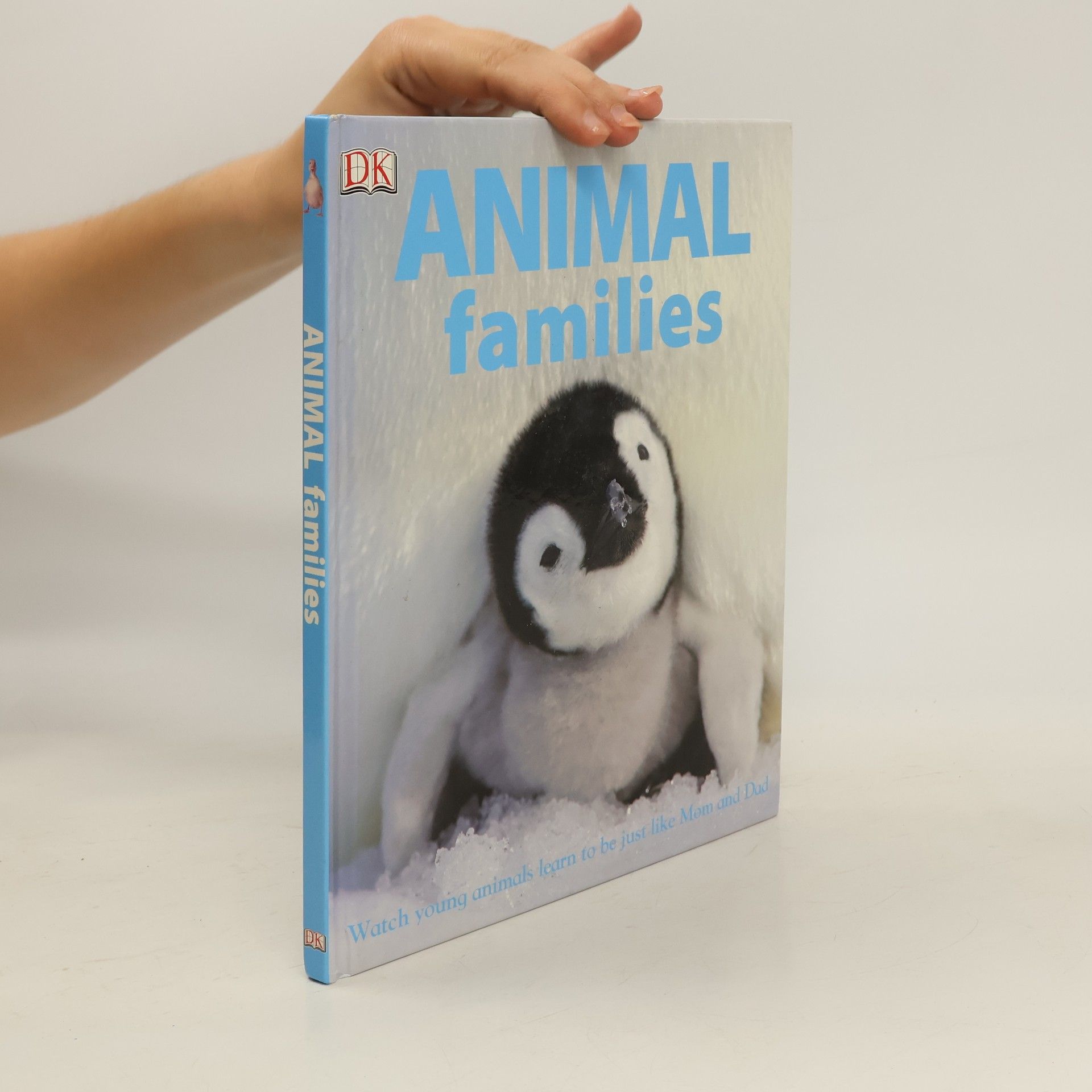 Lorrie Mack Animal families