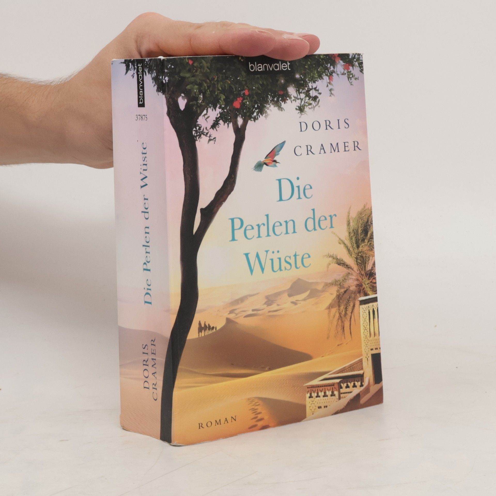 Doris Cramer Die Perlen der Wüste
