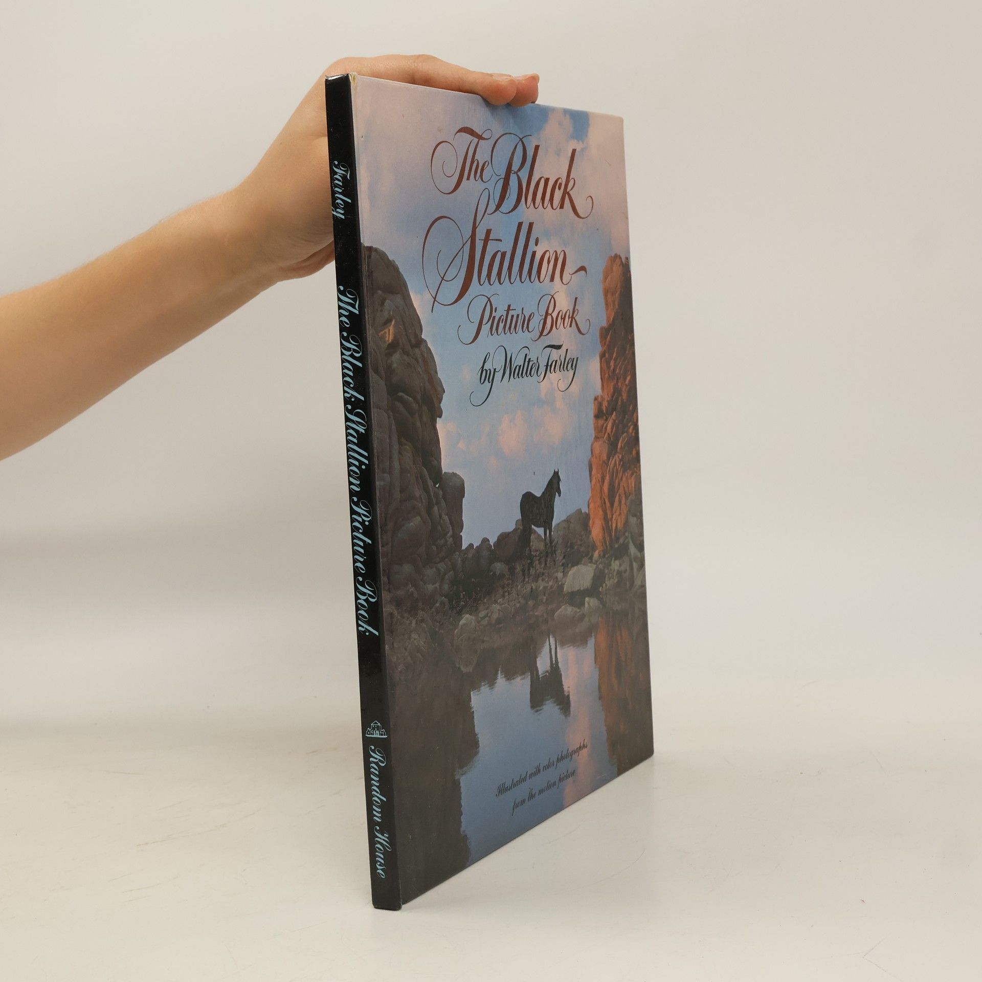 Walter Farley The Black Stallion Picture Book