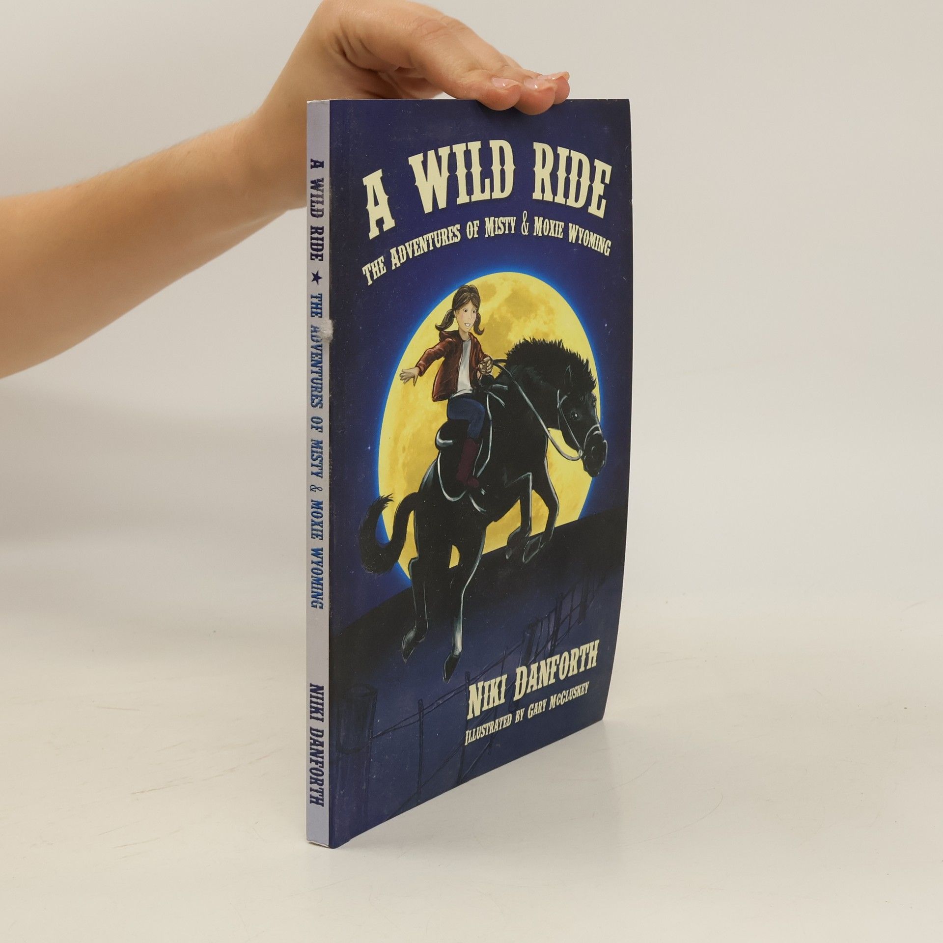 Niki Danforth A Wild Ride