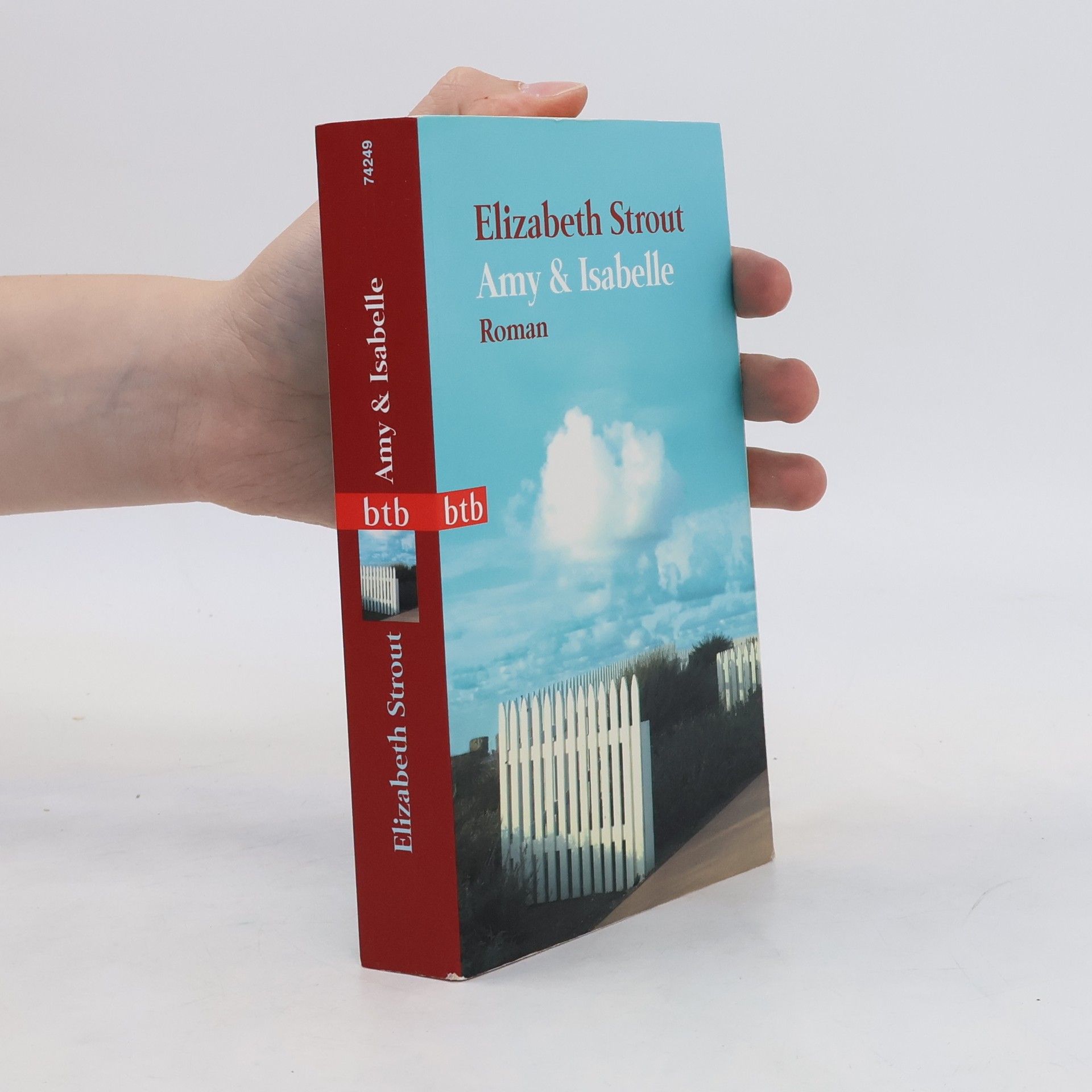 Elizabeth Strout Amy & Isabelle
