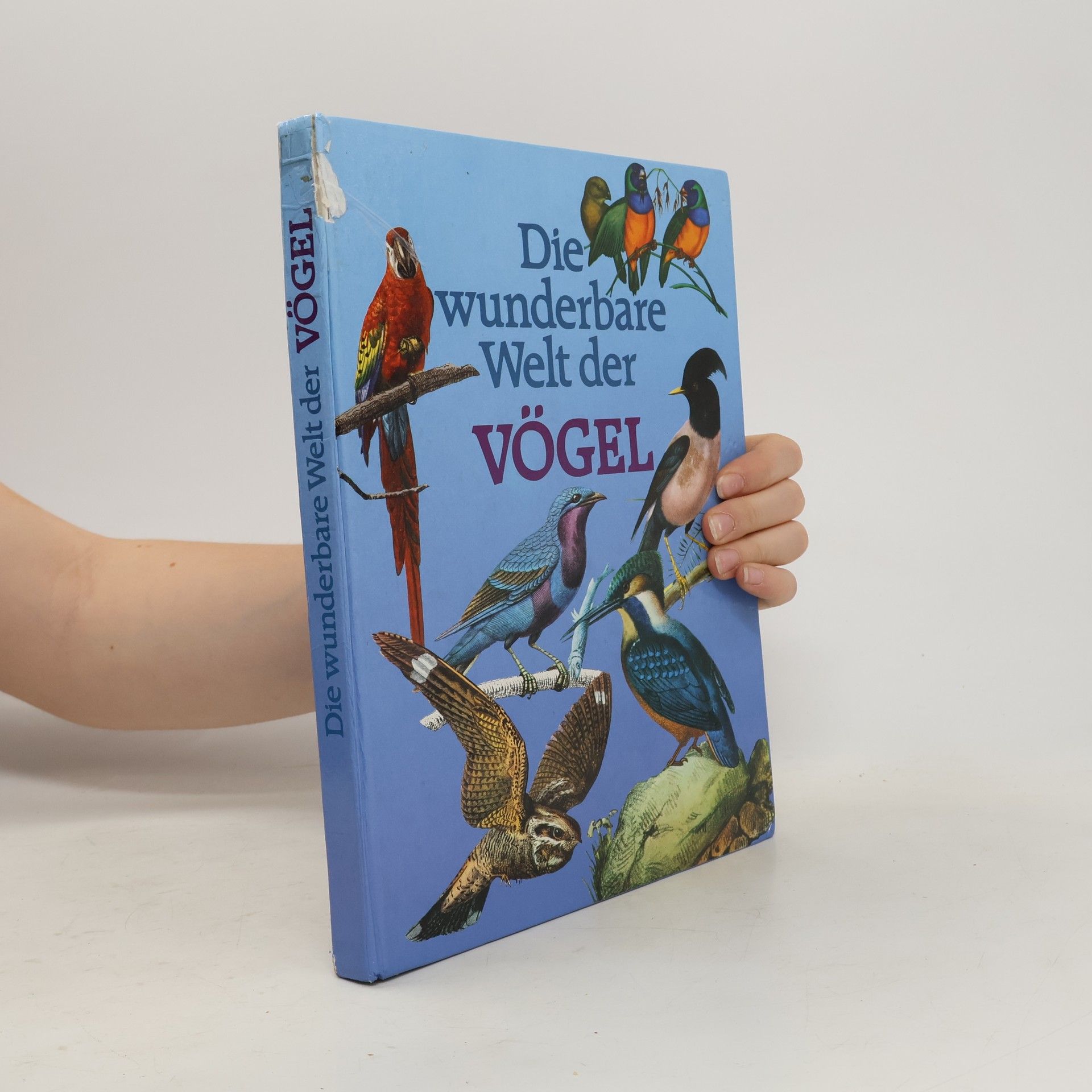 Collectif d'auteurs Die wunderbare Welt der Vögel