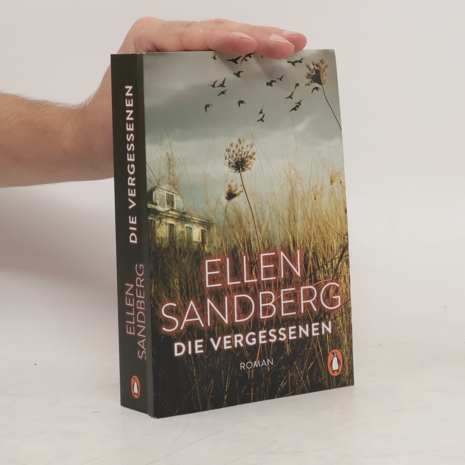 Ellen Sandberg Die Vergessenen
