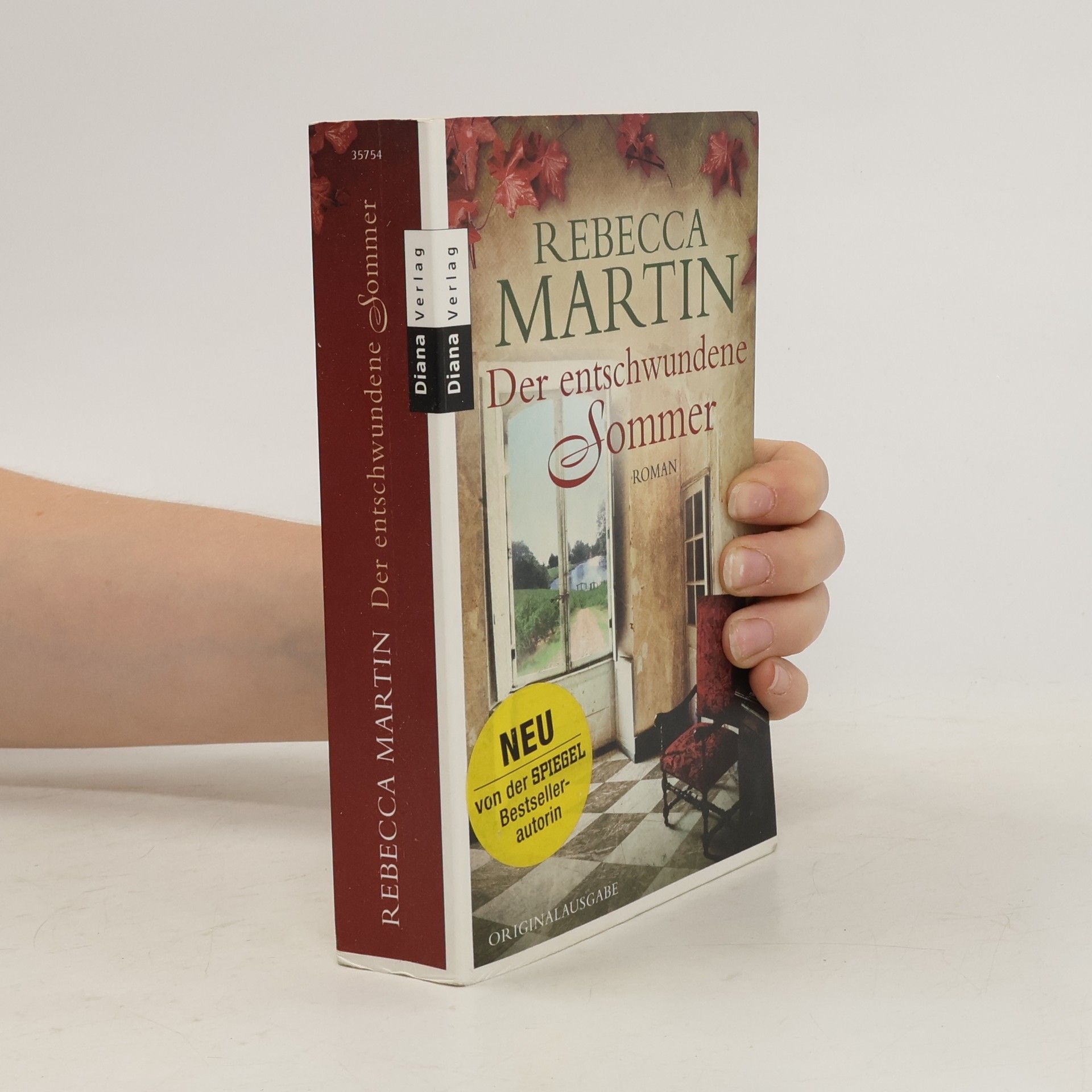 Rebecca Martin Der entschwundene Sommer