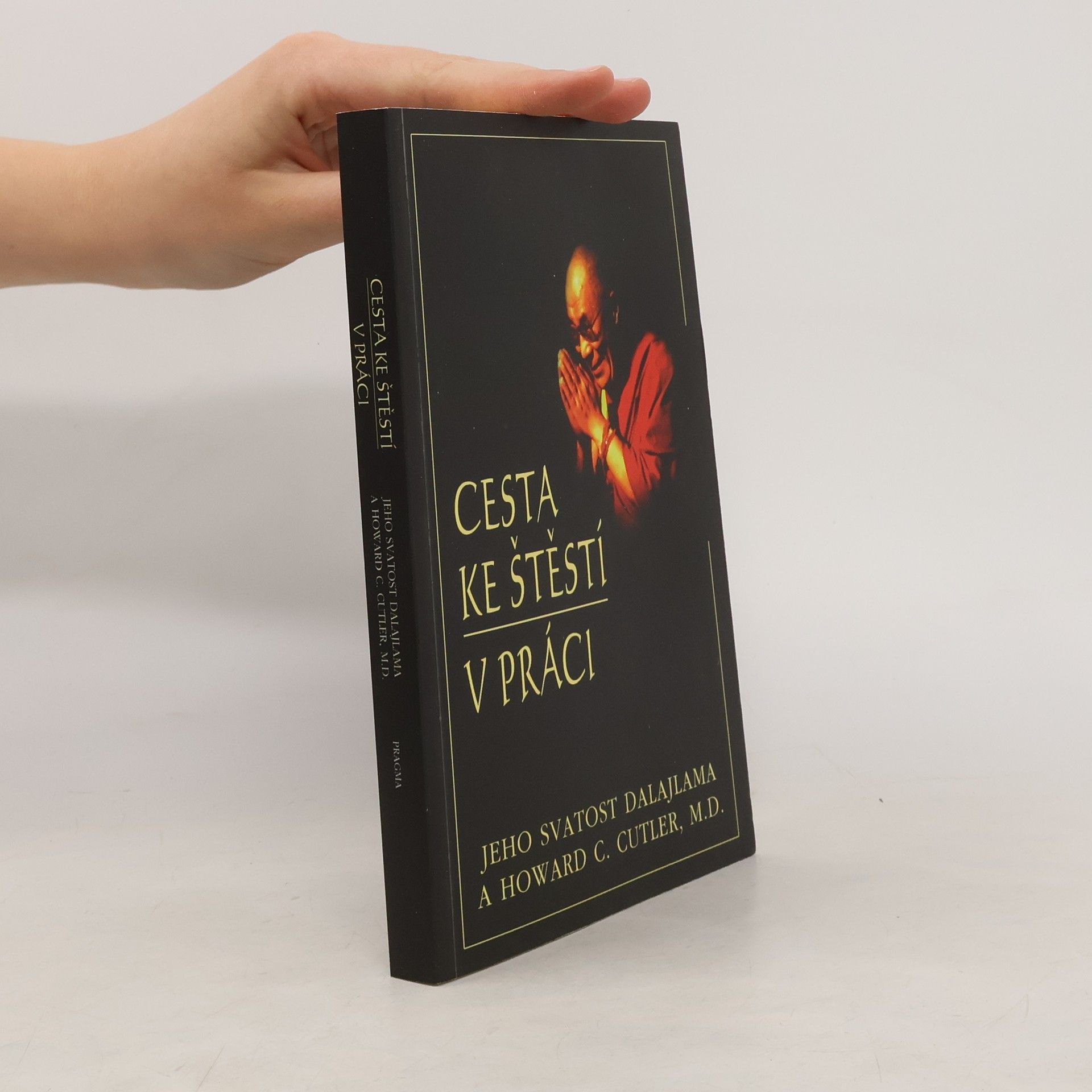 Tändzin Gjamccho Cesta ke štěstí v práci