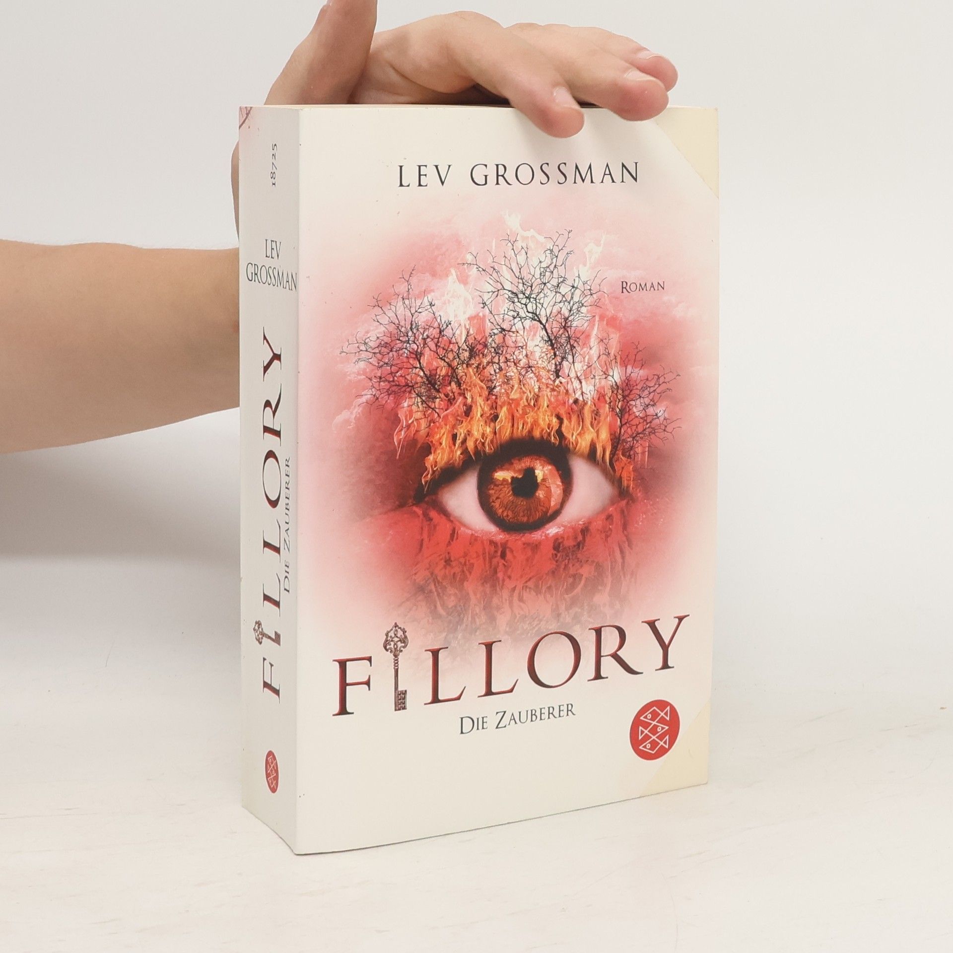 Grossman Lev Fillory - Die Zauberer