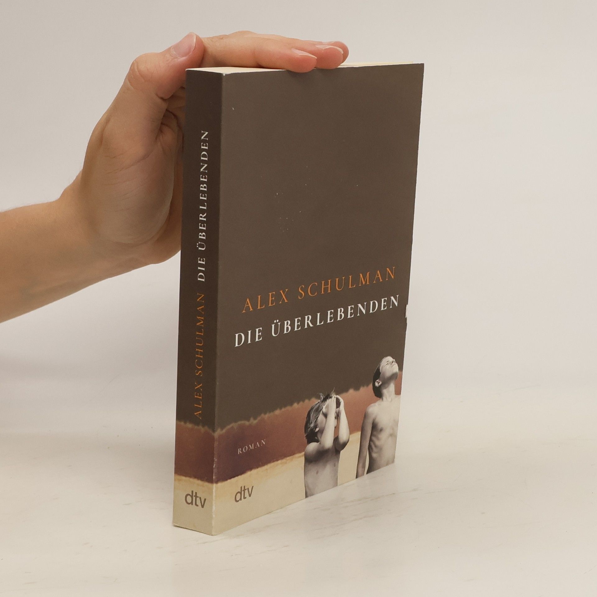 Alex Schulman Die Überlebenden
