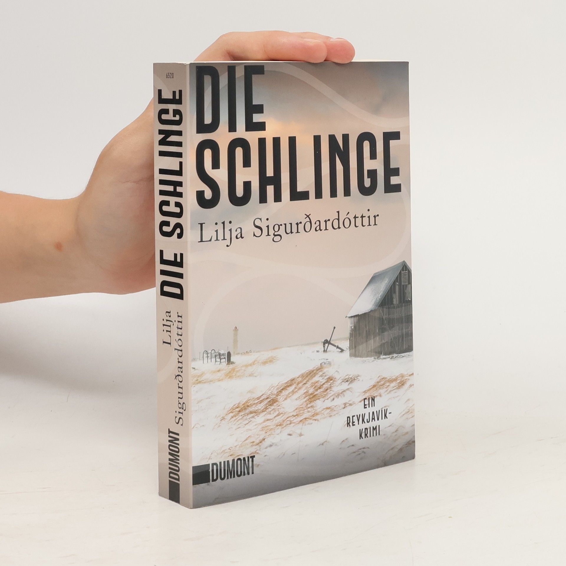 Lilja Sigurðardóttir Die Schlinge