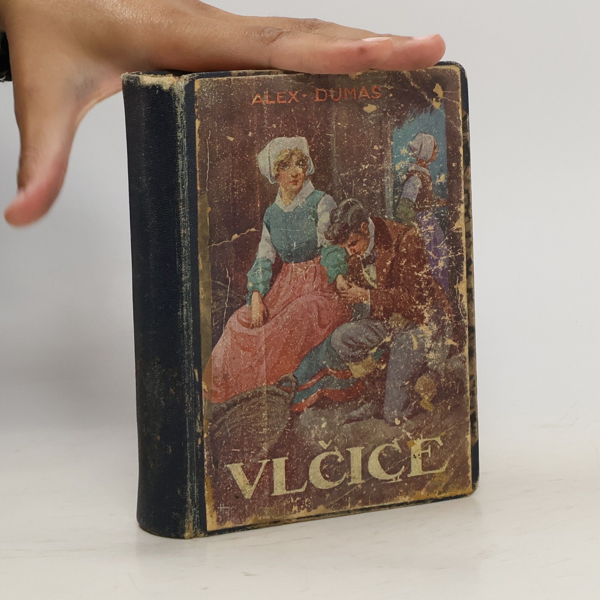 Alexandre Dumas Vlčice díl II.