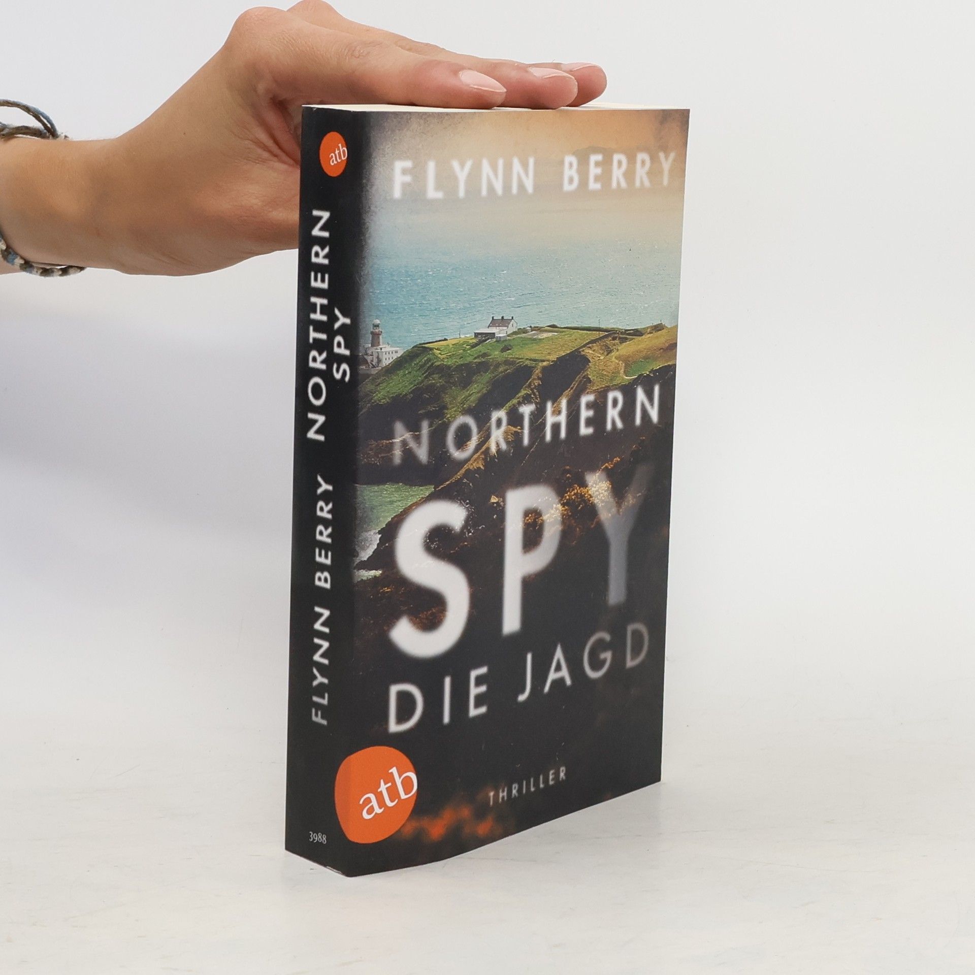 Flynn Berry Northern spy - die Jagd