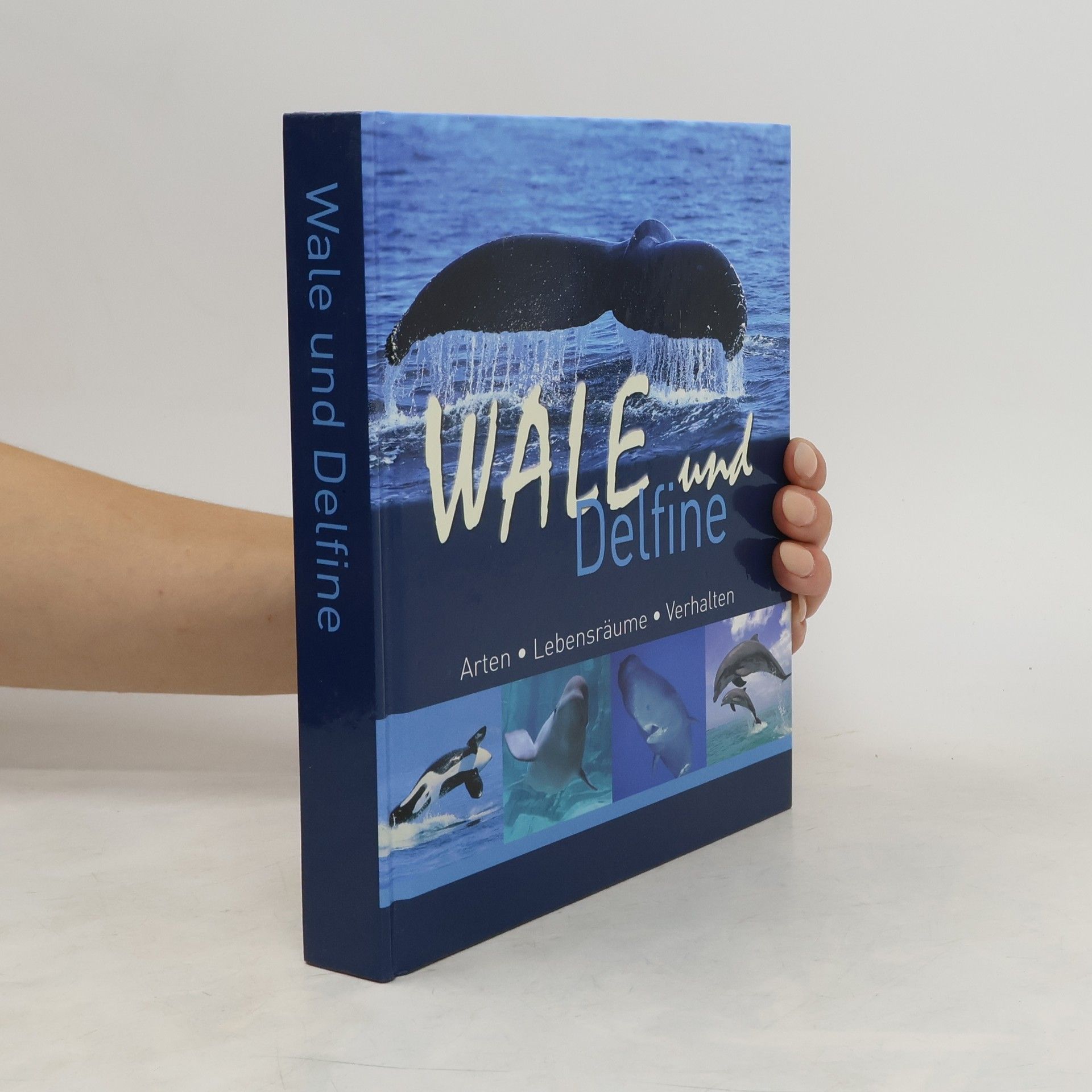 Autorenkollektiv Wale und Delfine