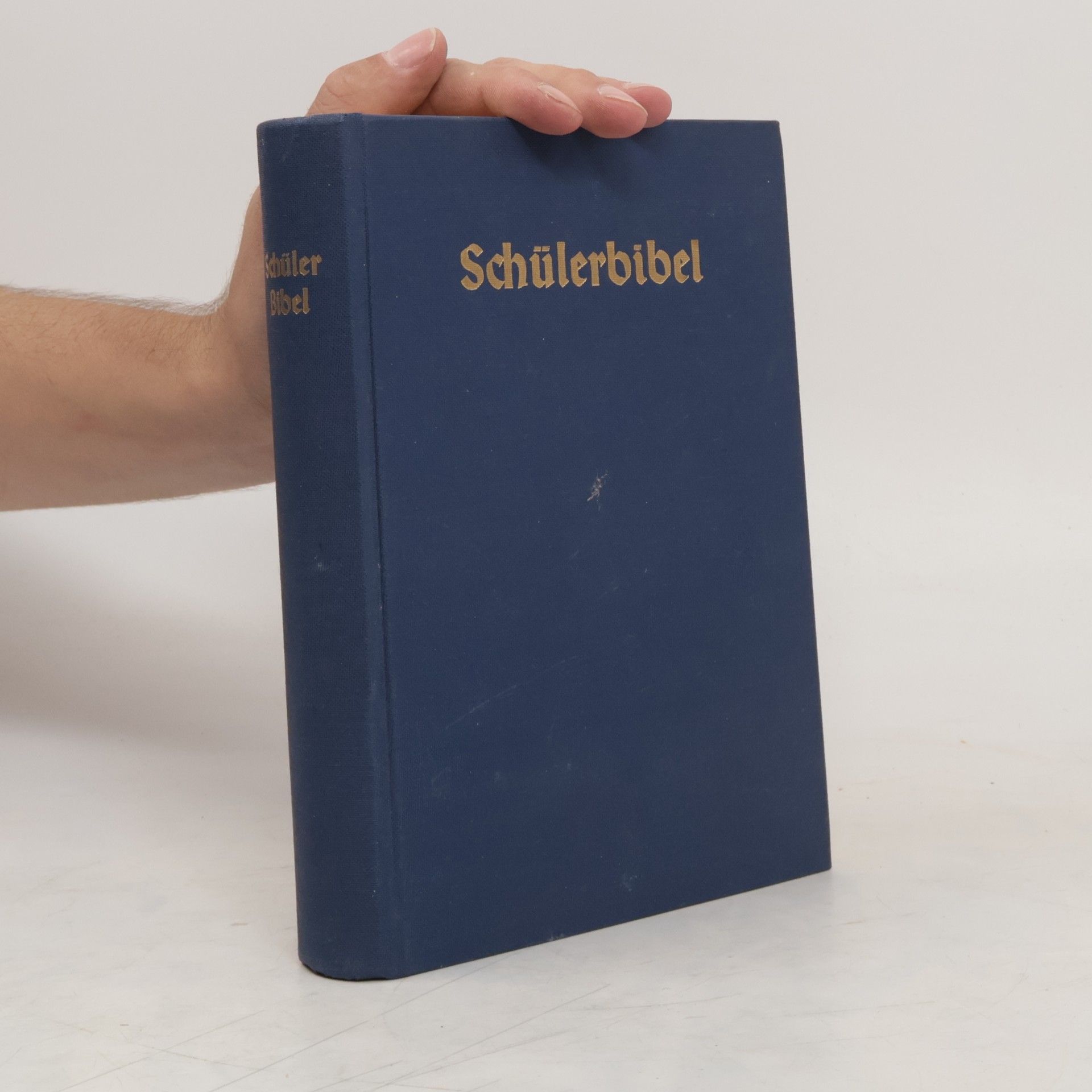 Martin Luther Schülerbibel