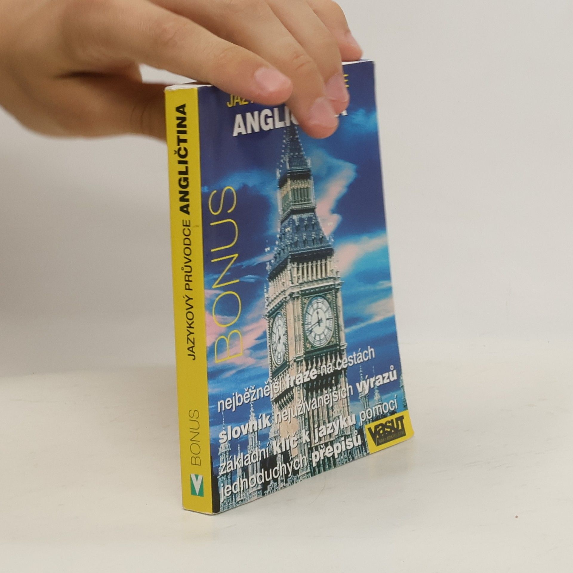 kolektiv Angličtina: Jazykový průvodce