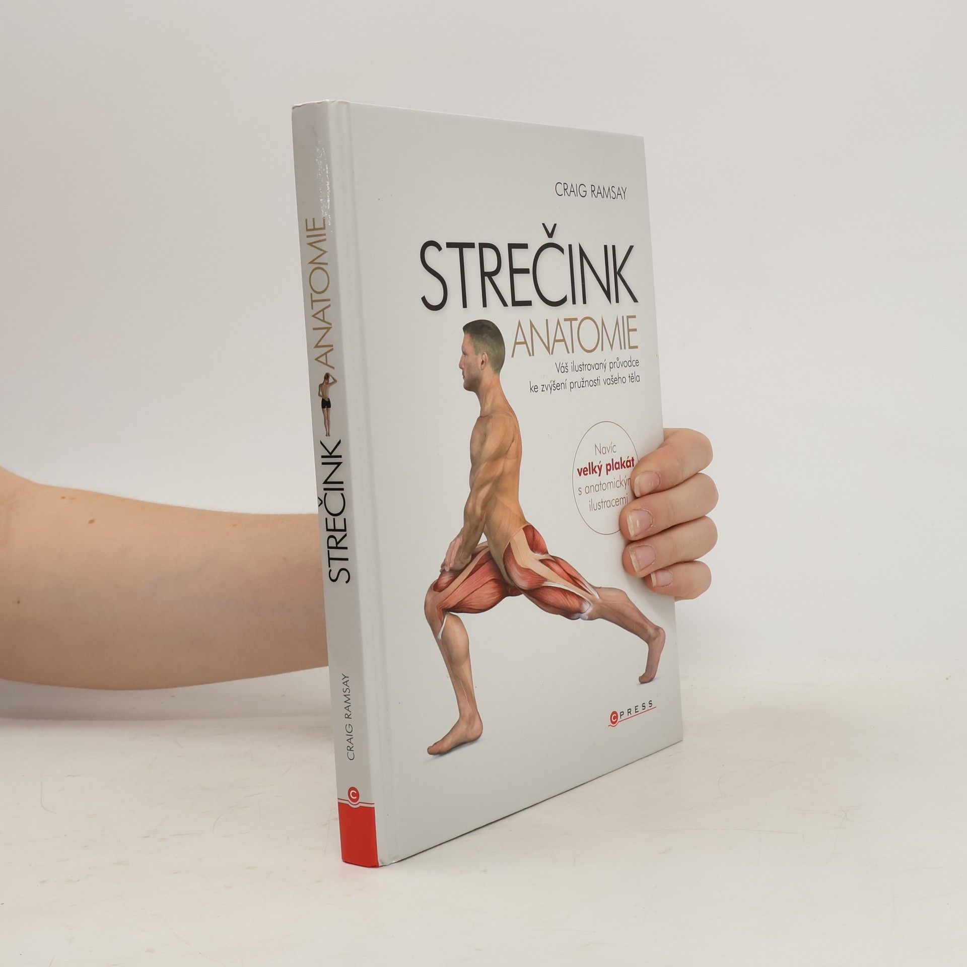 Craig Ramsay Strečink - anatomie