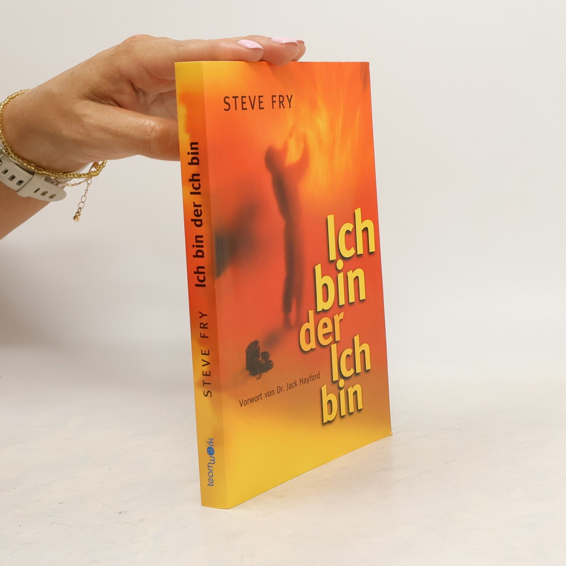Stephen Fry Ich bin der ich bin