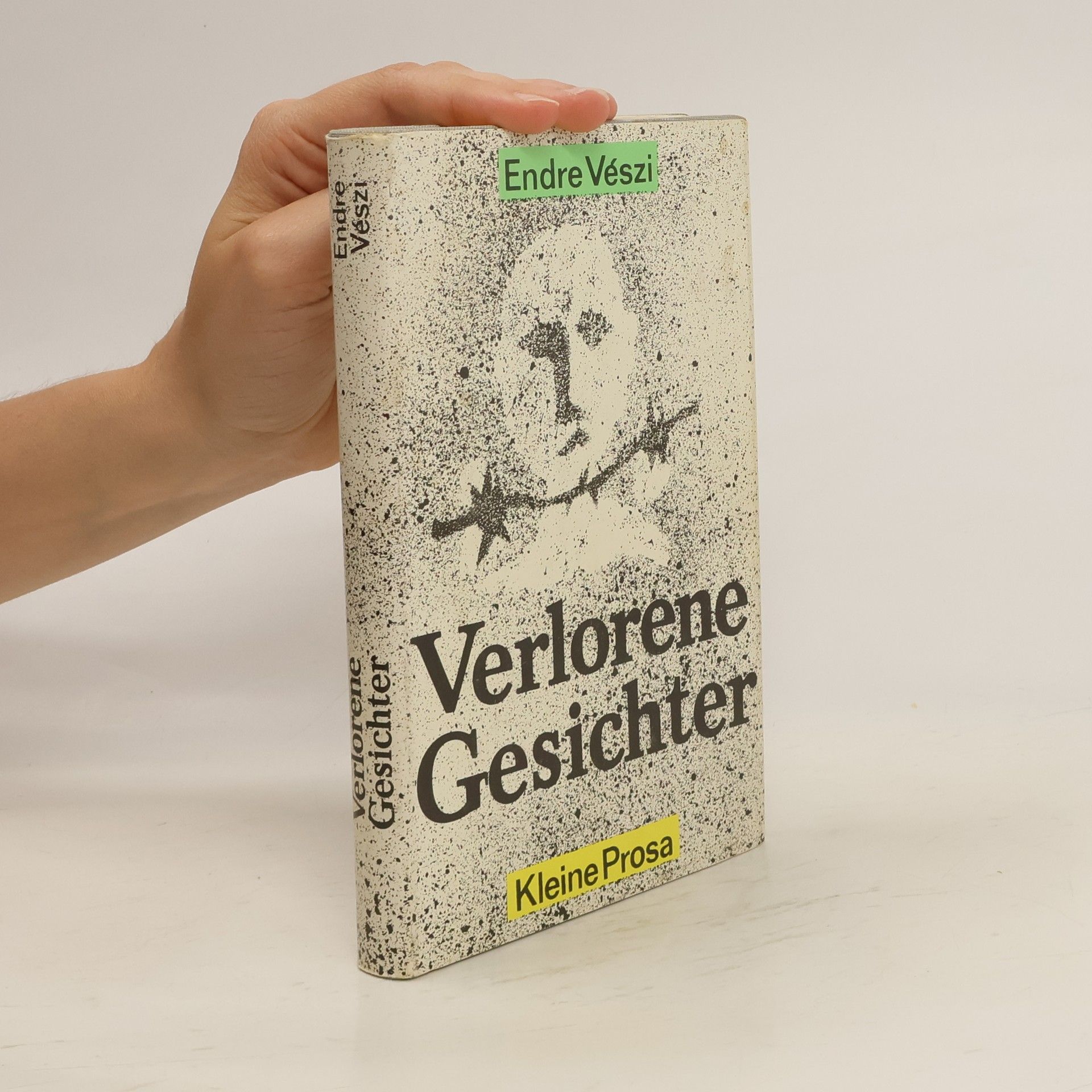 Endre Vészi Verlorene Gesichter