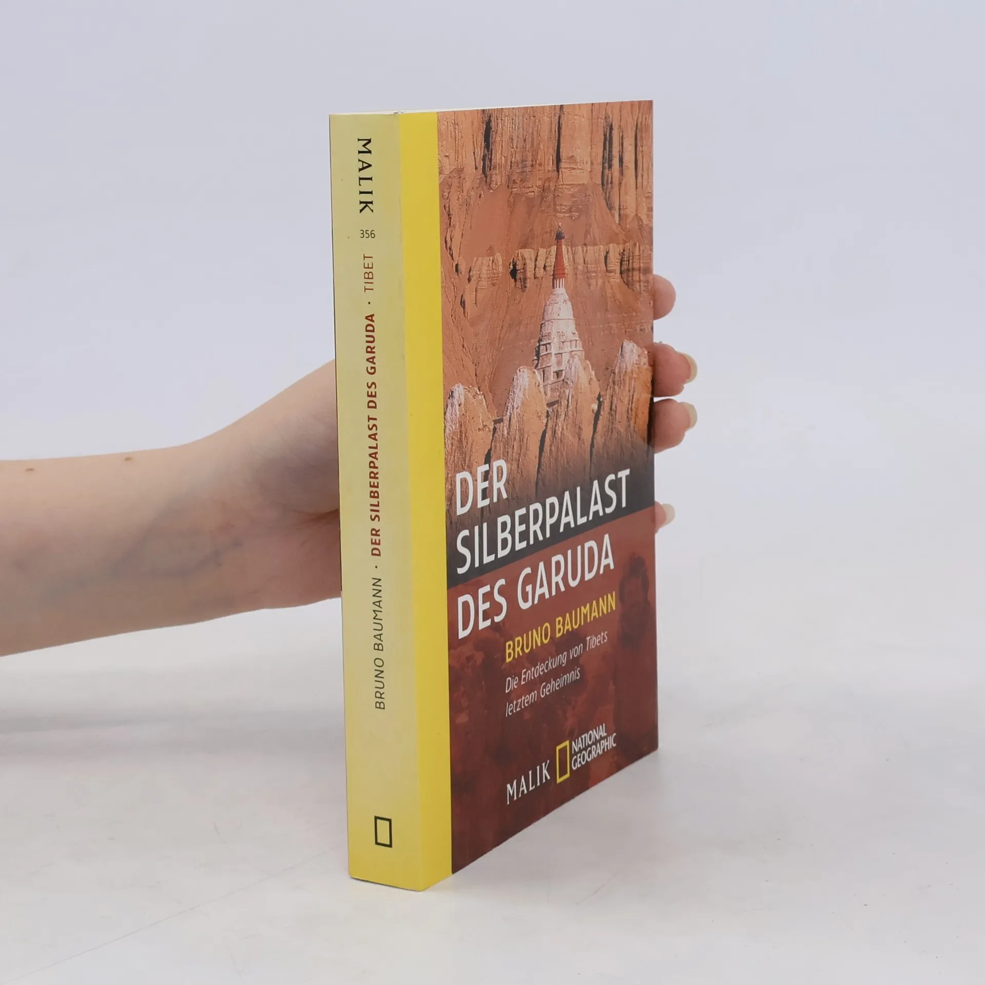Der Silberpalast des Garuda | Book | Paperback | Bruno Baumann | DE