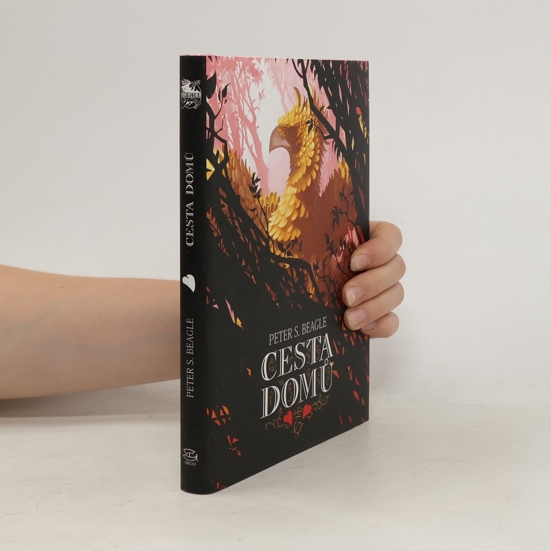 Michael Bronec Cesta domů. Dva příběhy ze světa Posledního jednorožce