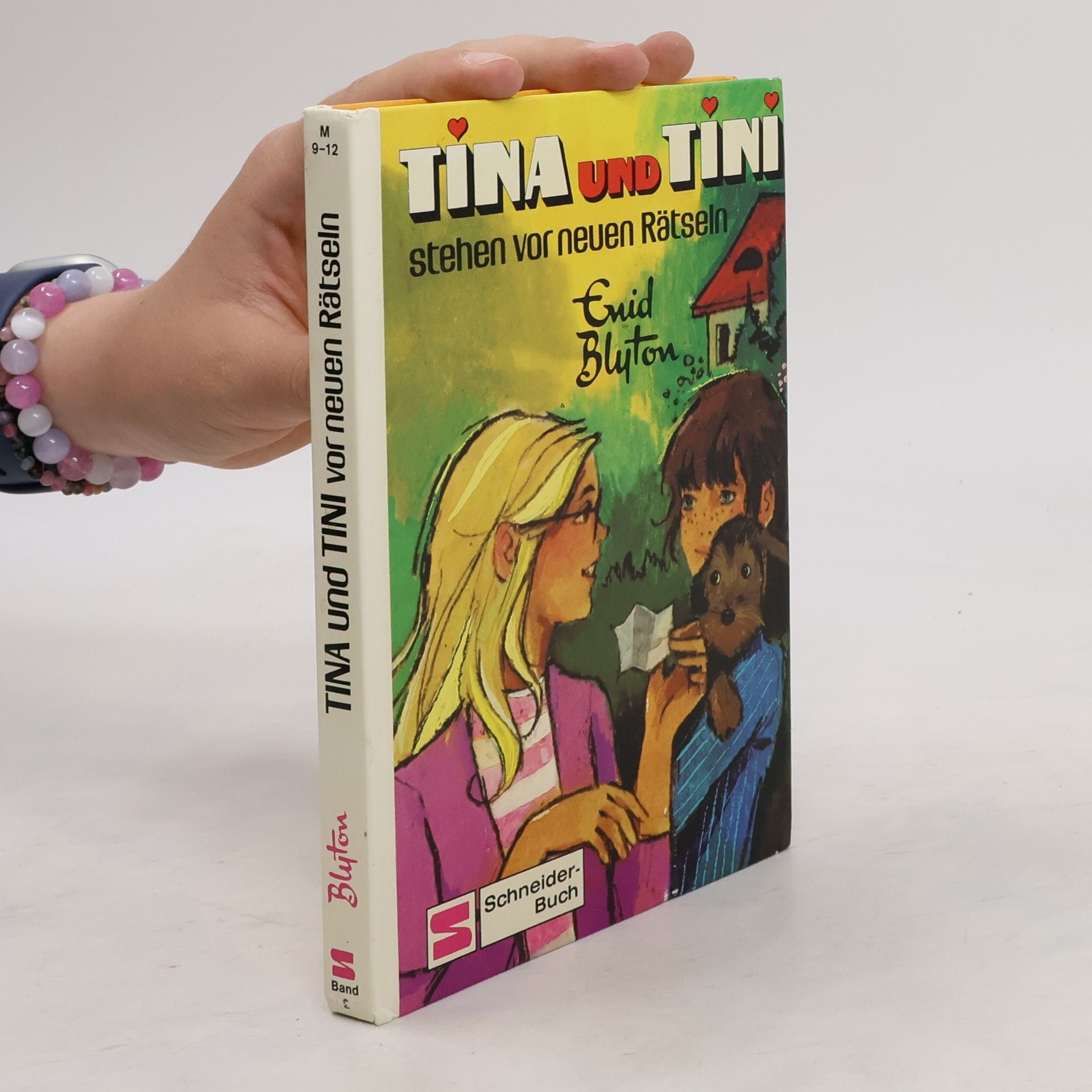 Enid Blyton Tina und Tini
