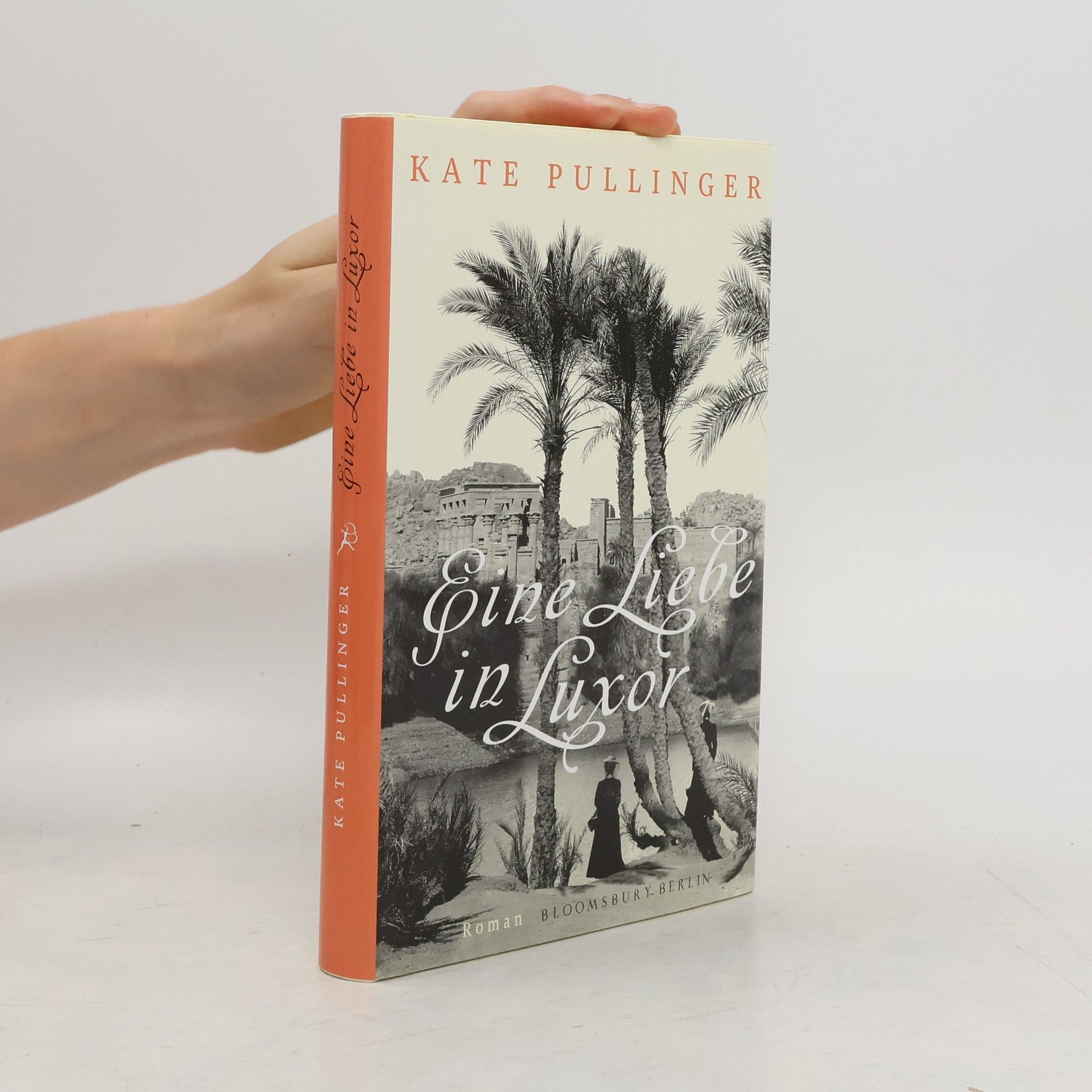 Kate Pullinger Eine Liebe in Luxor