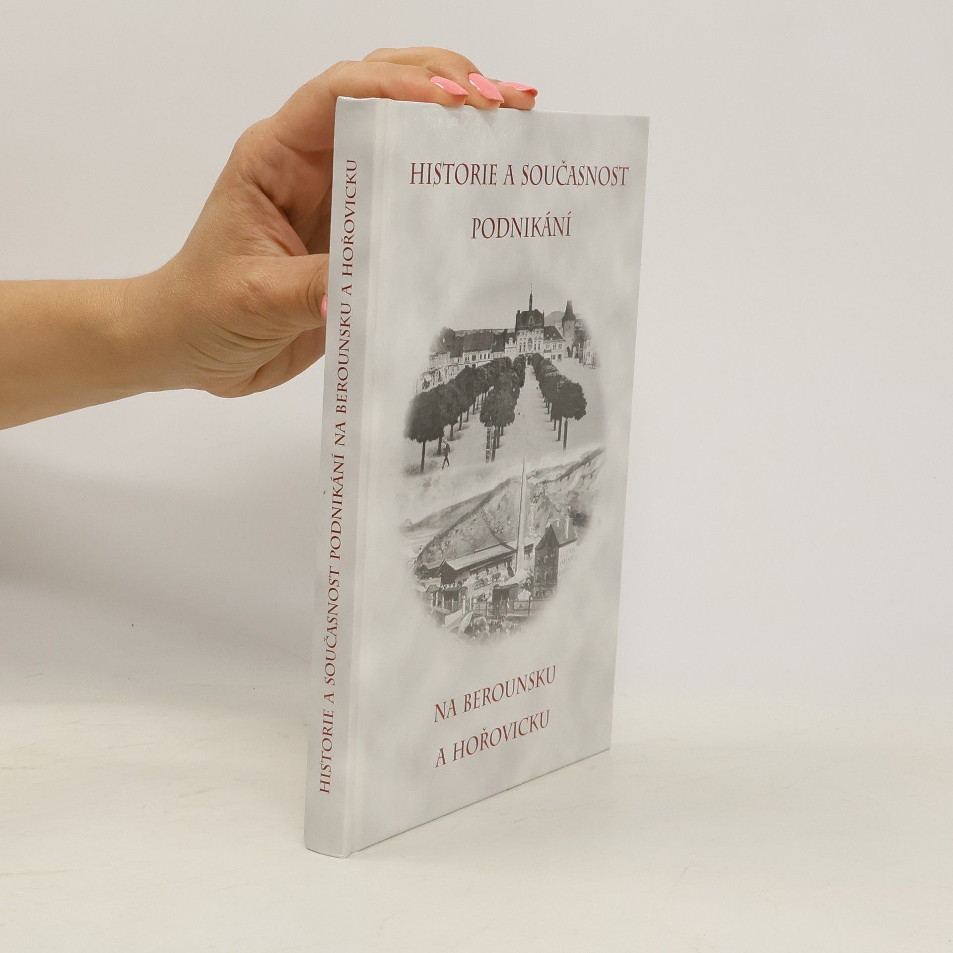 Marie Tošnerová Historie a současnost podnikání na Berounsku a Hořovicku