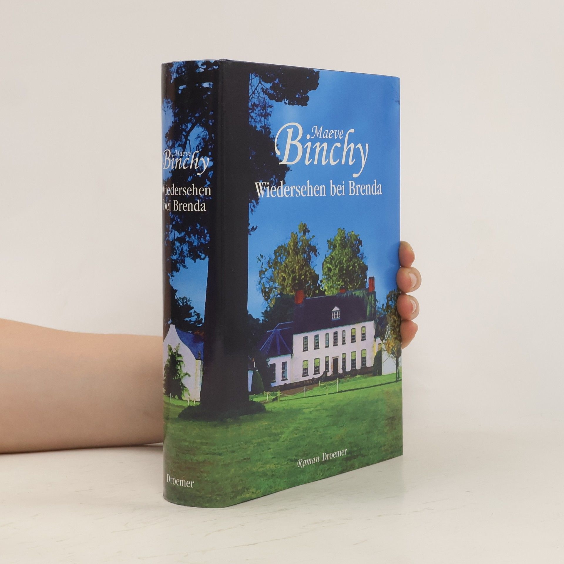 Maeve Binchy Wiedersehen bei Brenda