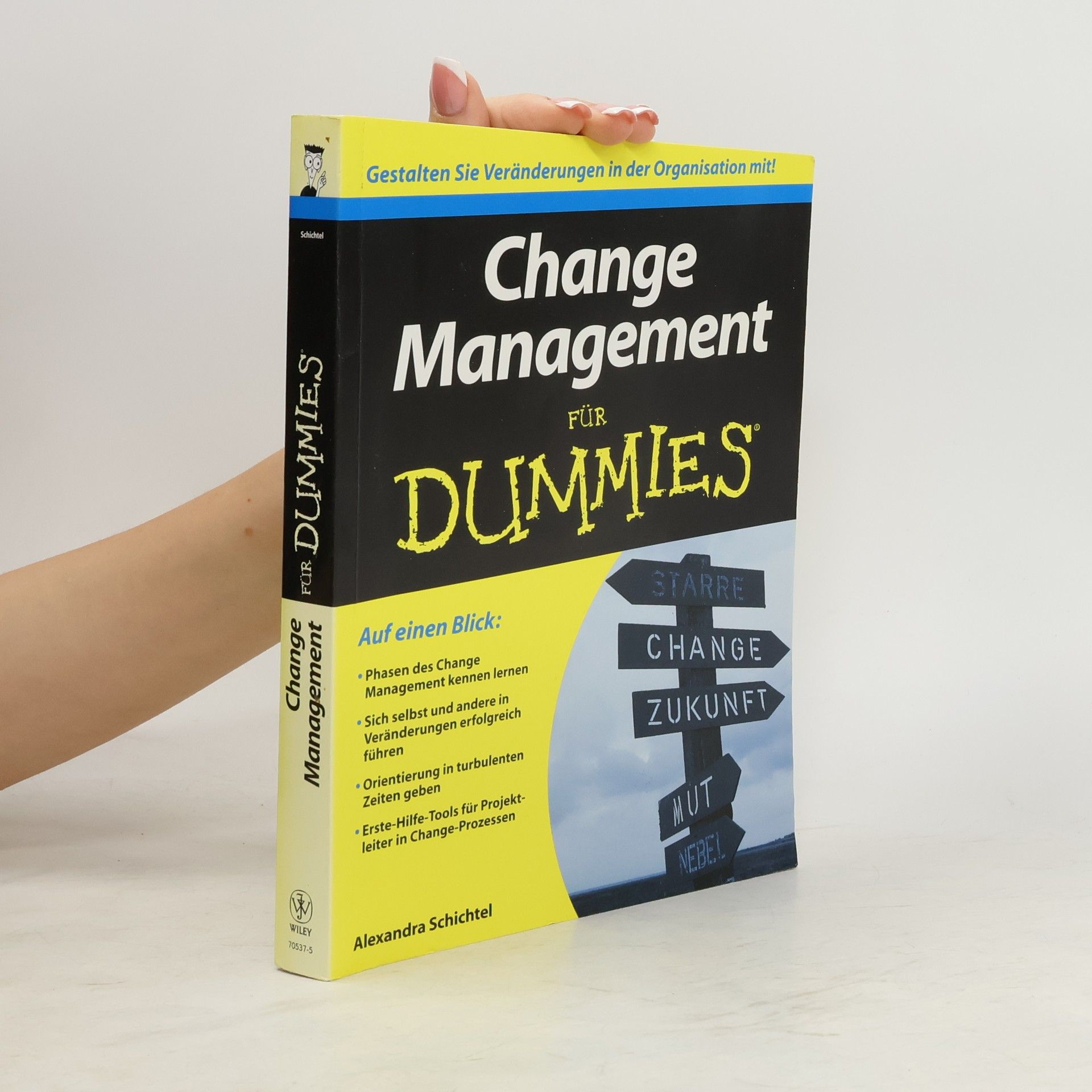 Alexandra Schichtel Change-Management für Dummies