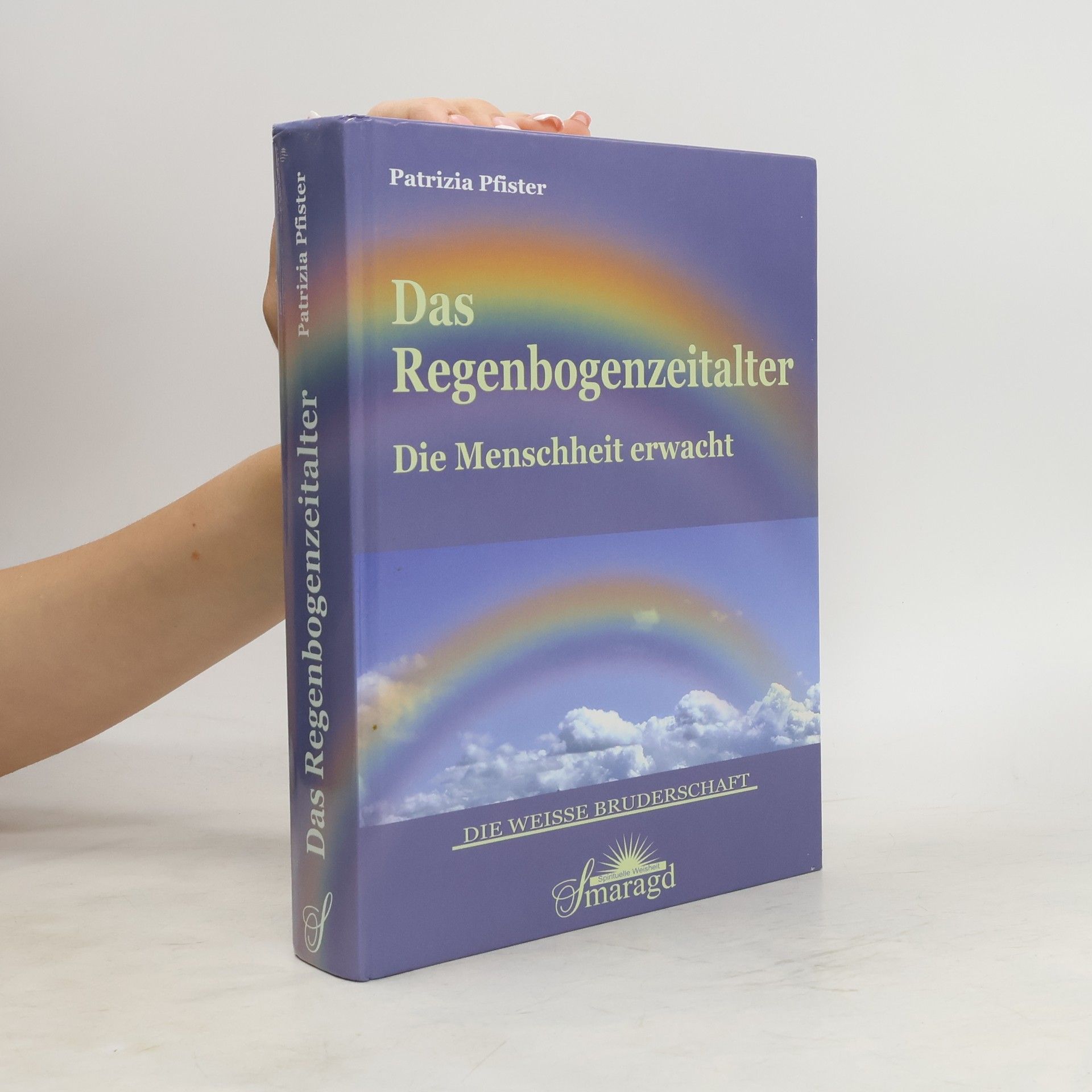 Patrizia Pfister Das Regenbogenzeitalter