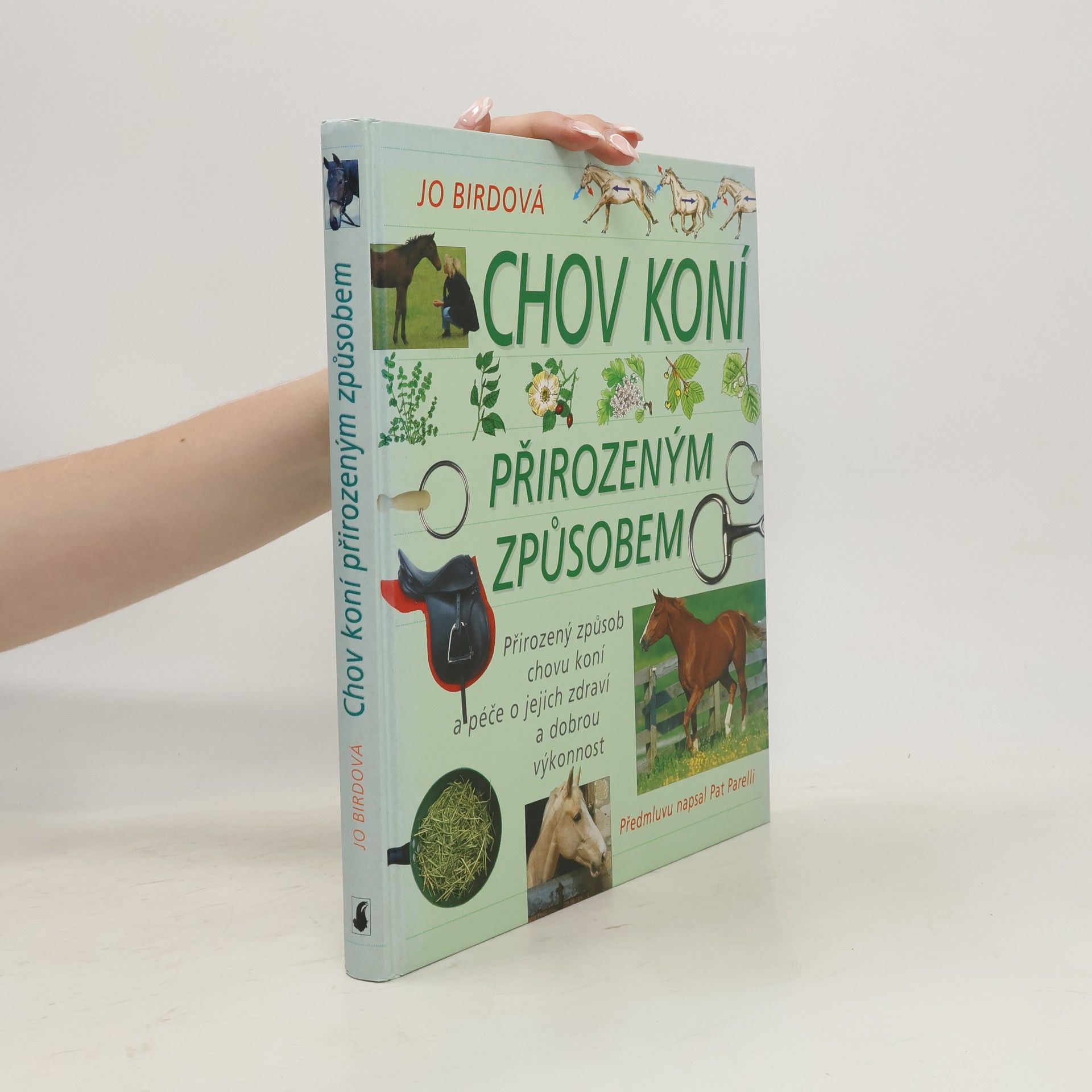 Jo Bird Chov koní přirozeným způsobem